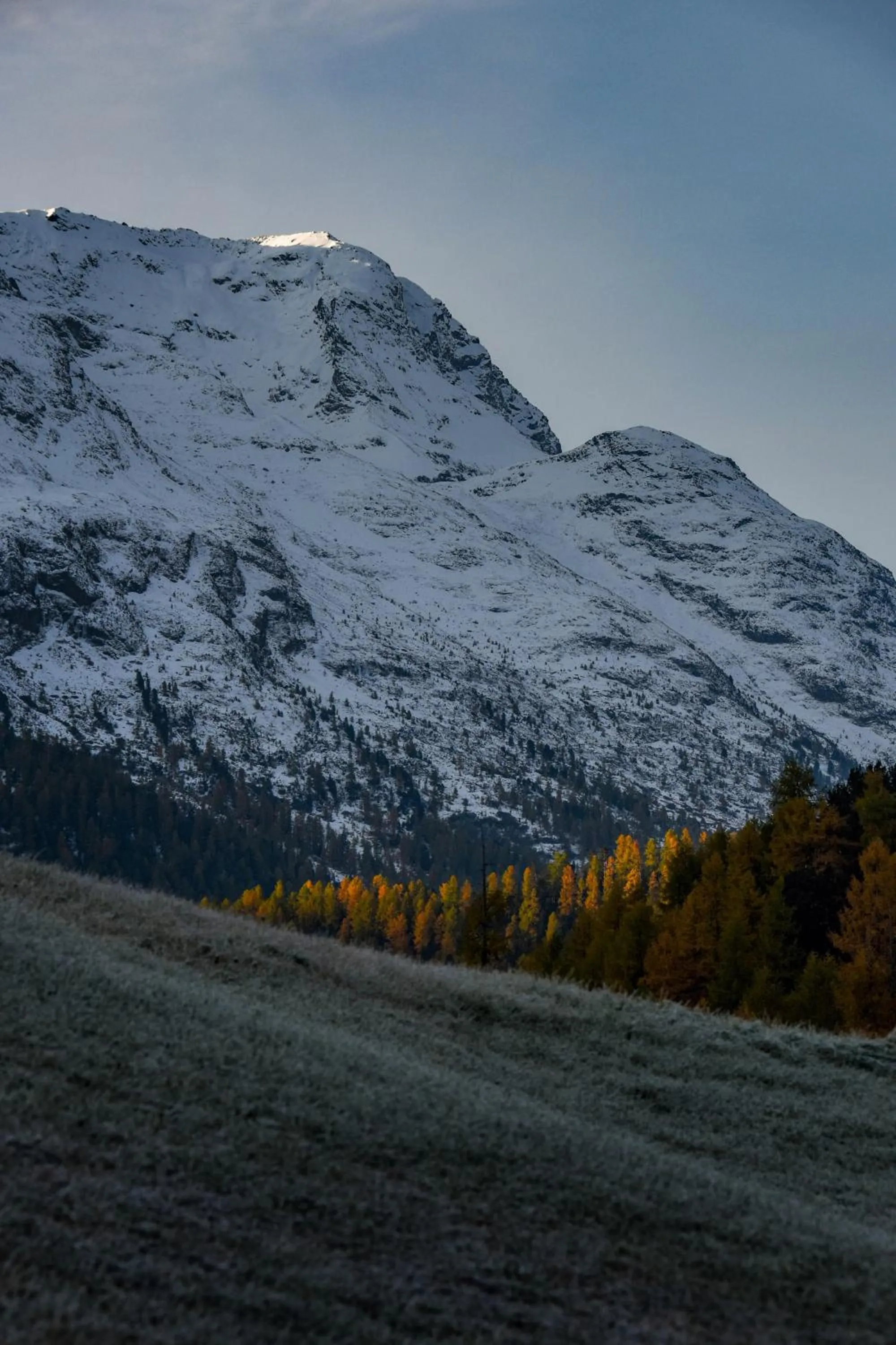 Natural landscape in Cresta Palace Celerina St Moritz Ski In and Ski Out