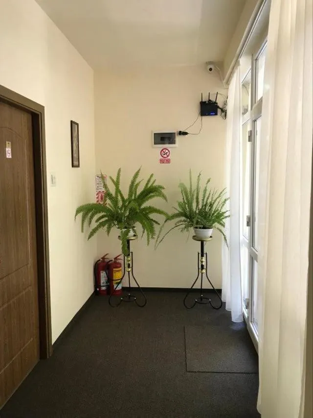 Decorative detail in LEBADA