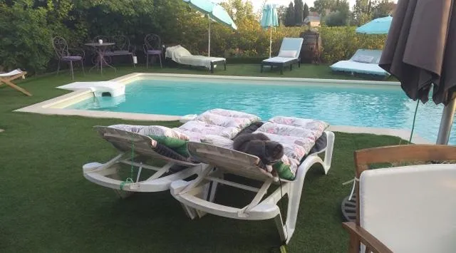 Swimming pool in La Bastide Neuve des Oliviers