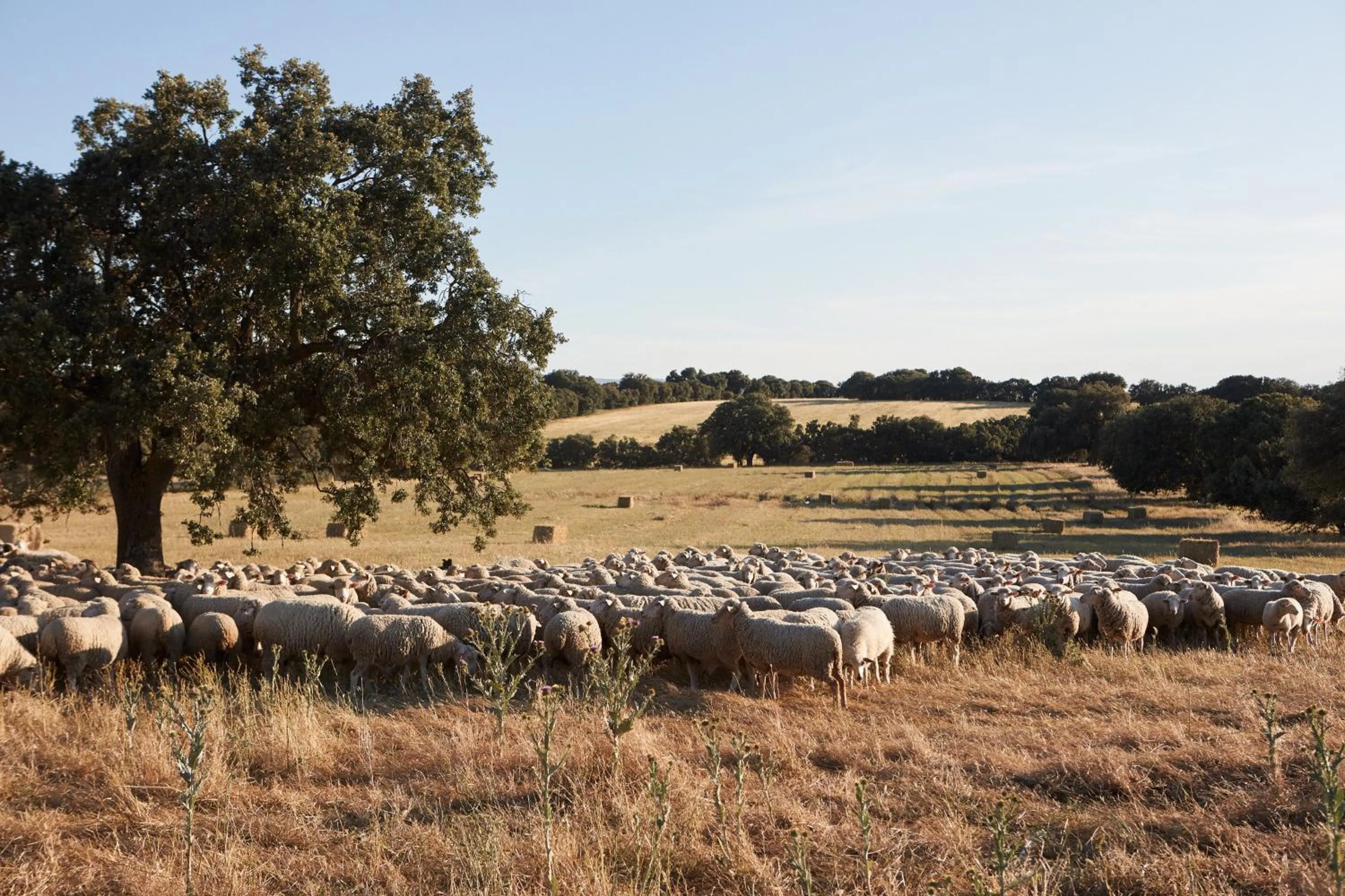Hotel Caserio Aldeallana