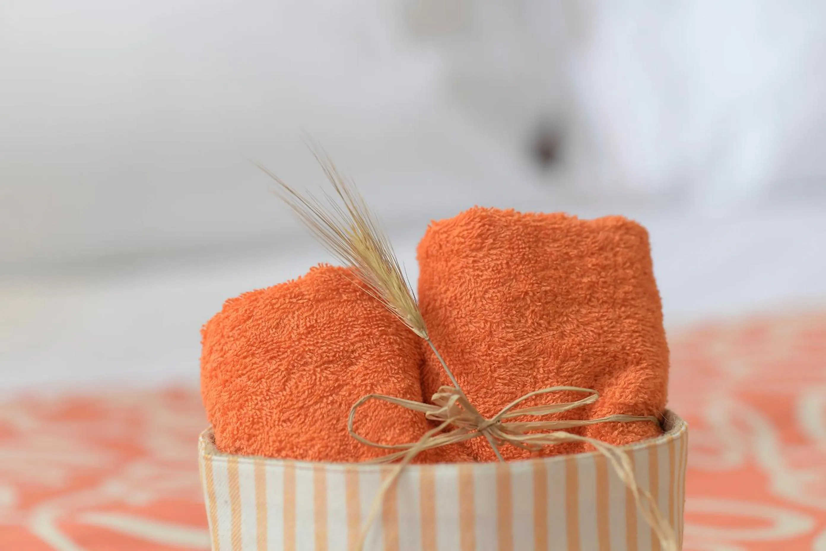 towels in Bio&B Acquaviva