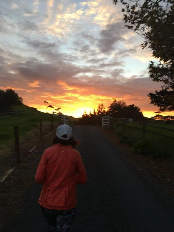 Waiwurrie Coastal Farm Lodge