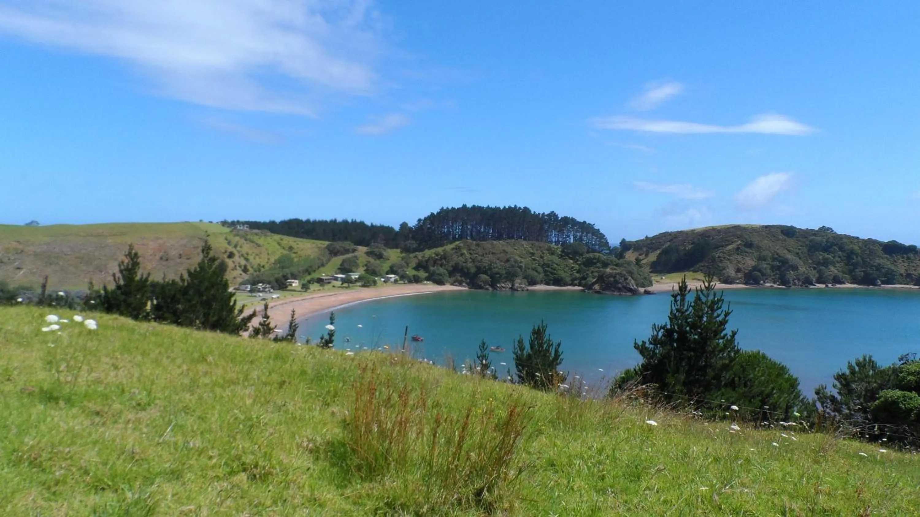 Summer in Waiwurrie Coastal Farm Lodge