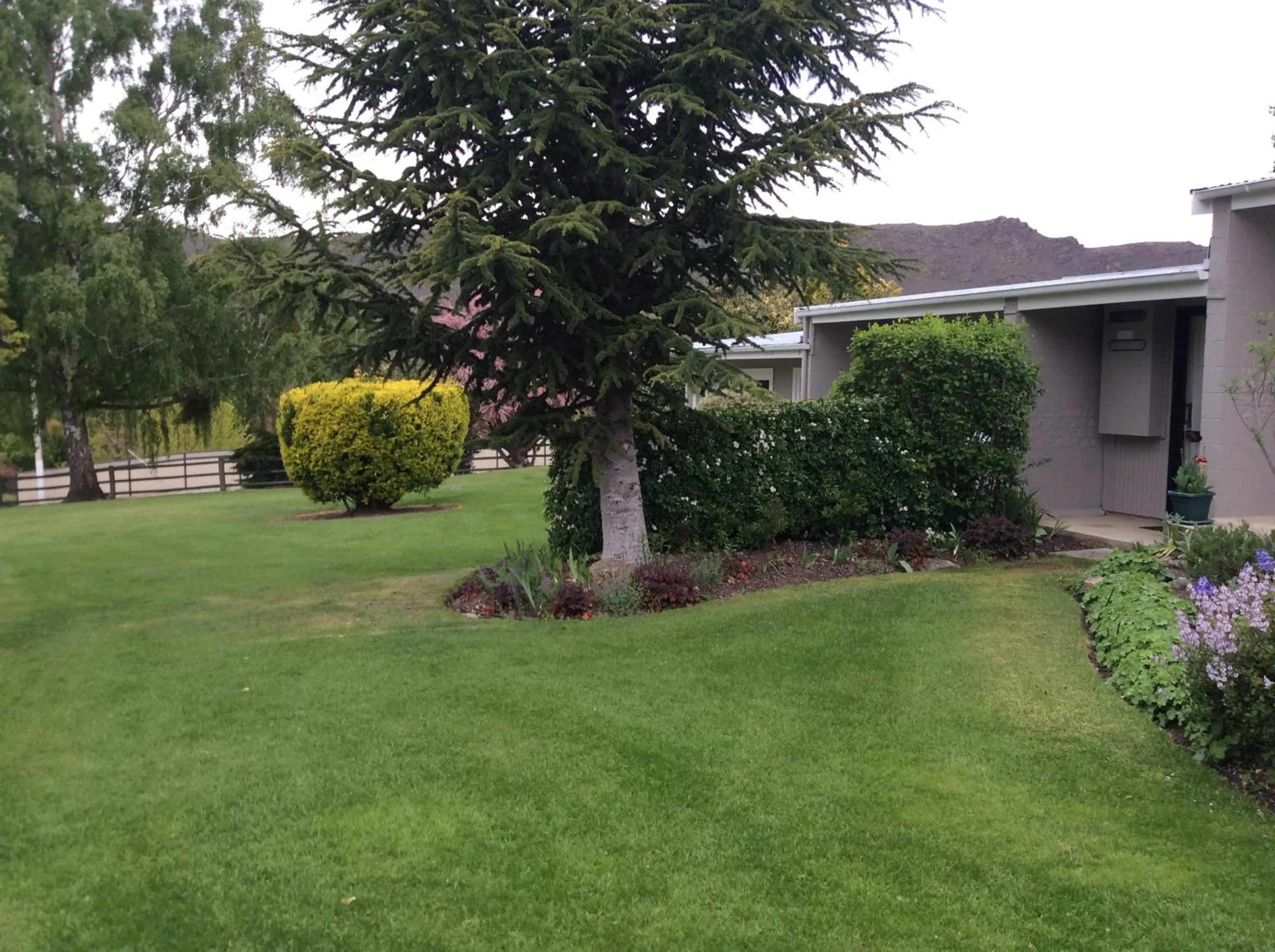 Garden in Alexandra Garden Court Motel