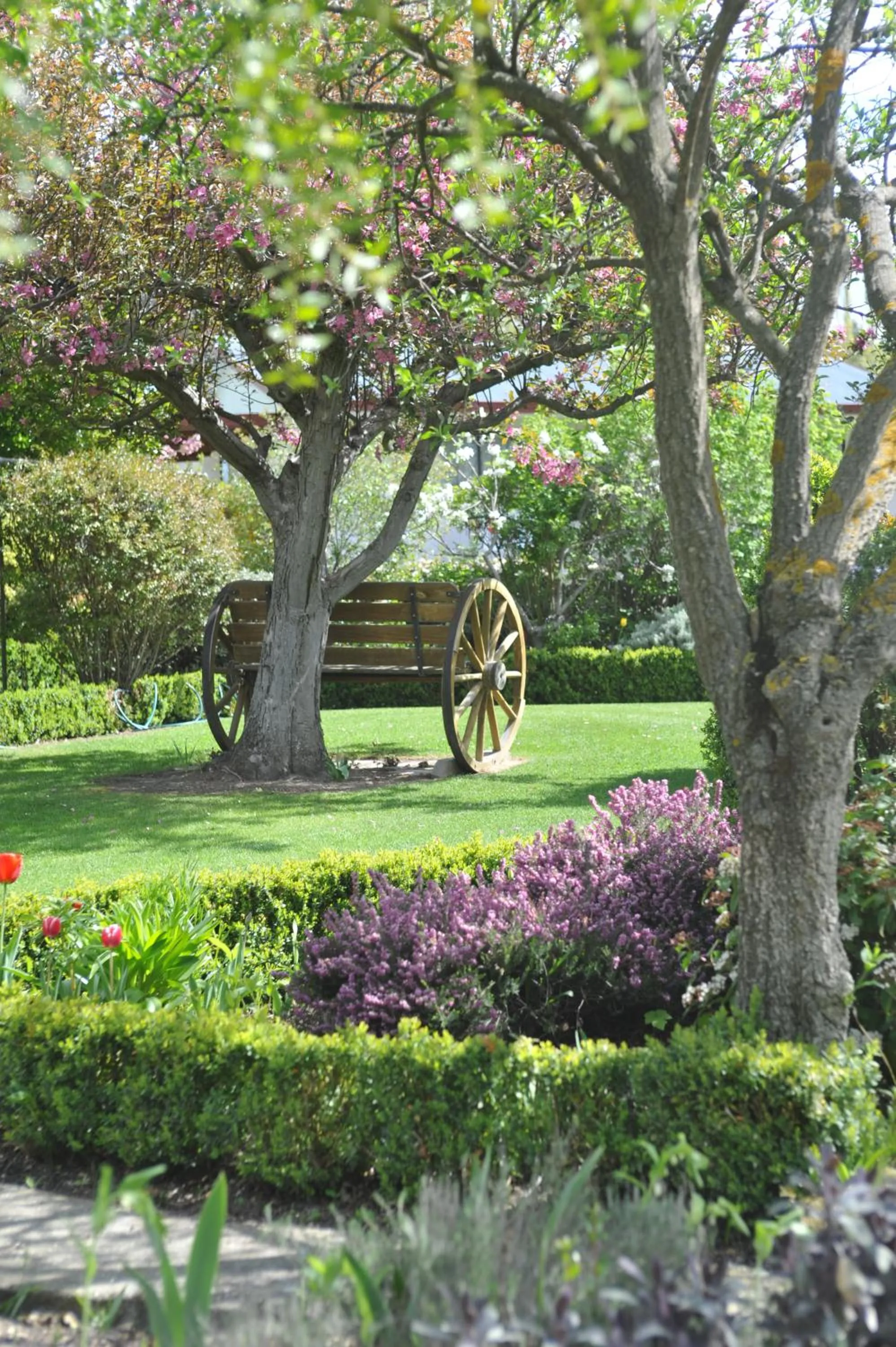 Garden in Alexandra Garden Court Motel