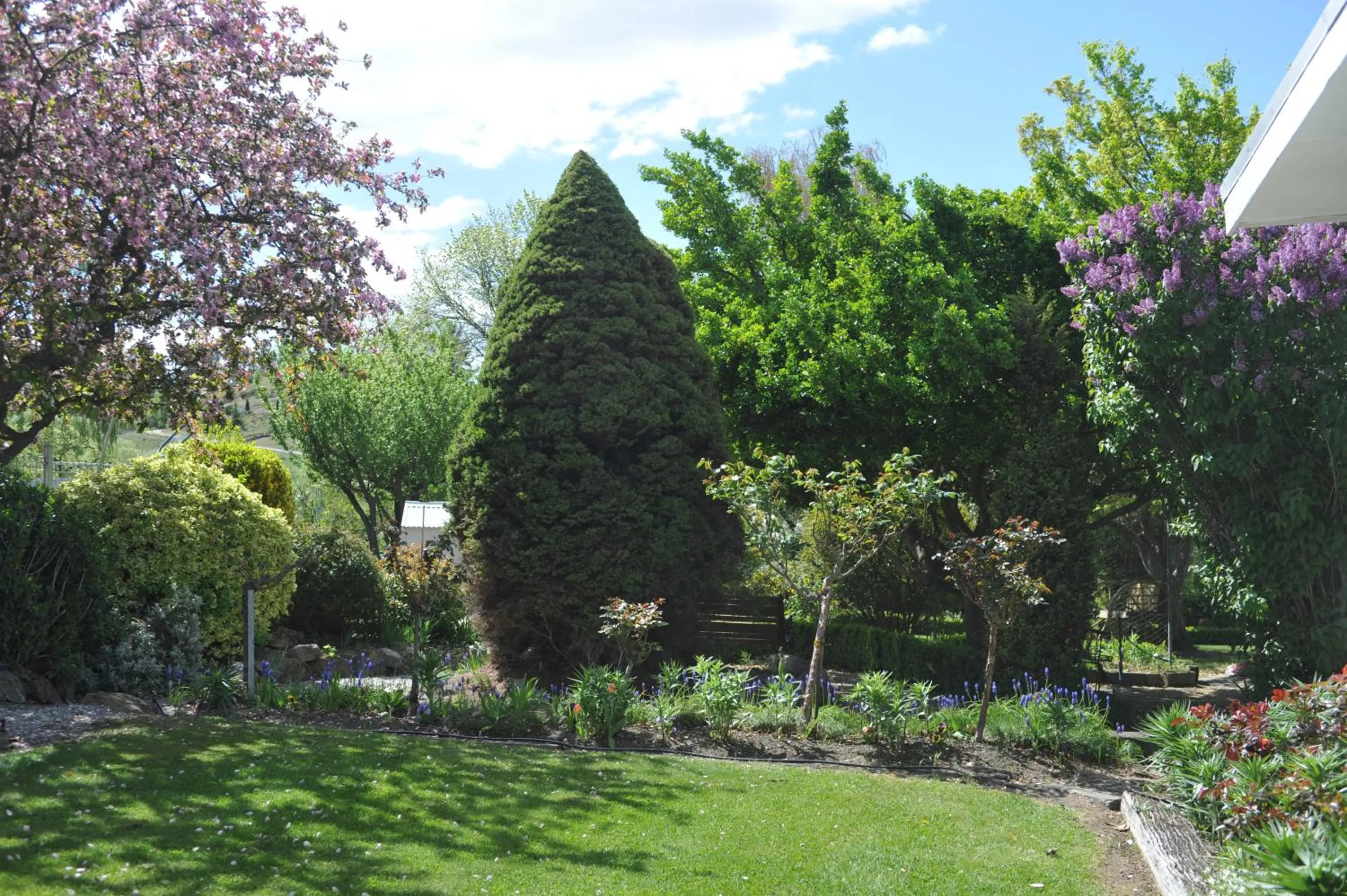 Garden in Alexandra Garden Court Motel