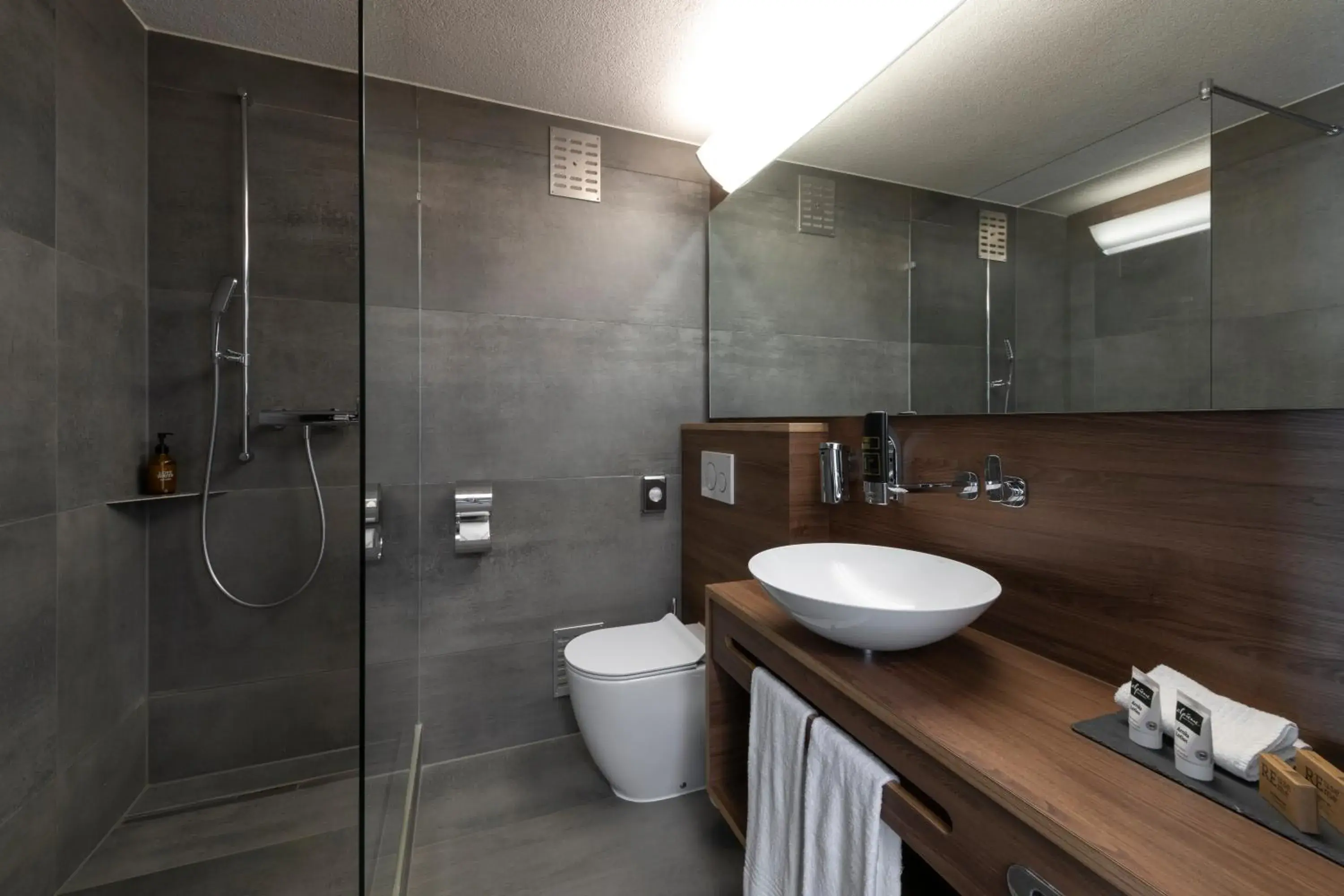 Superior Double Room with Lake View and Balcony in Hotel Alexander Superior Double Room with Lake View and Balcony in Hotel Alexander