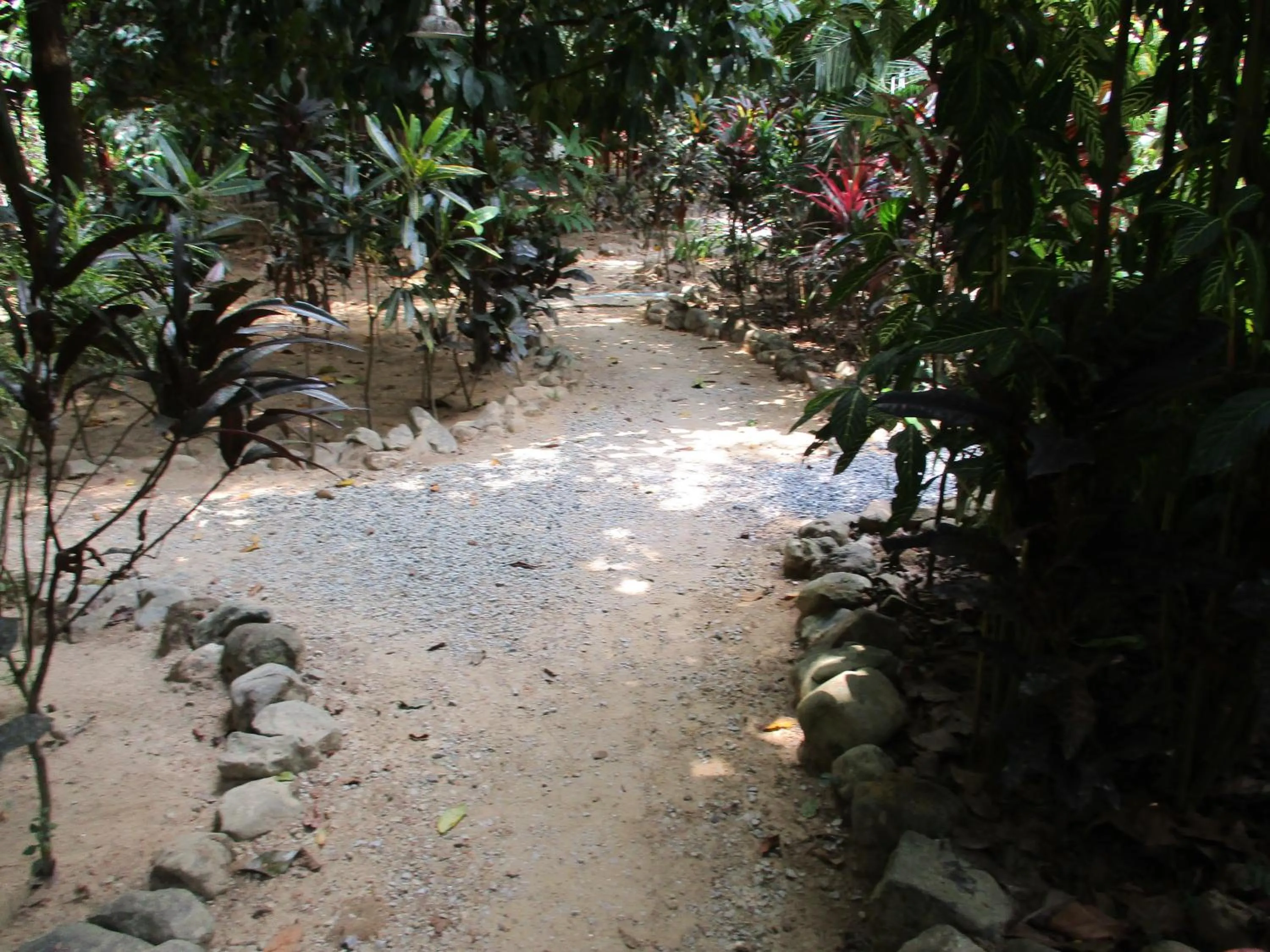 Property building in Khaosok Island Resort