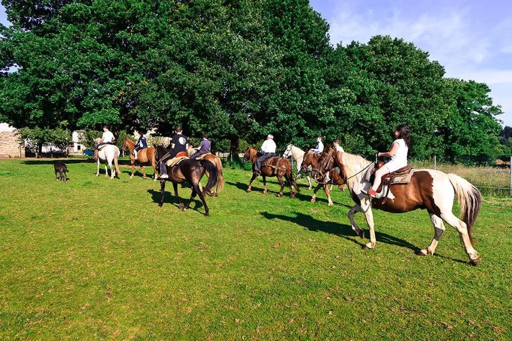 Horse-riding in Casa Cazoleiro