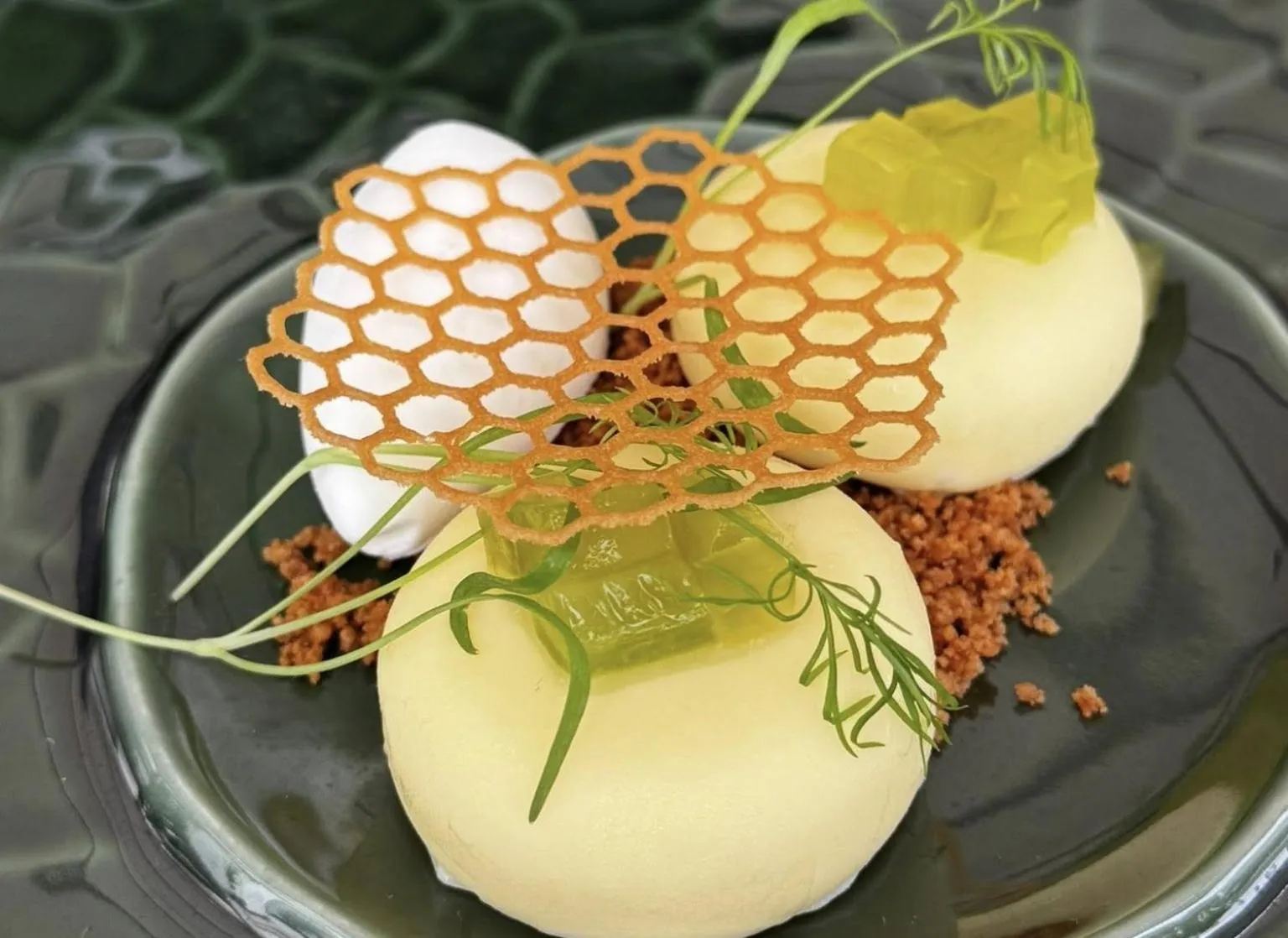 Food close-up in Monte Pacis Hotel In Pažaislis - Pets travel for FREE in February