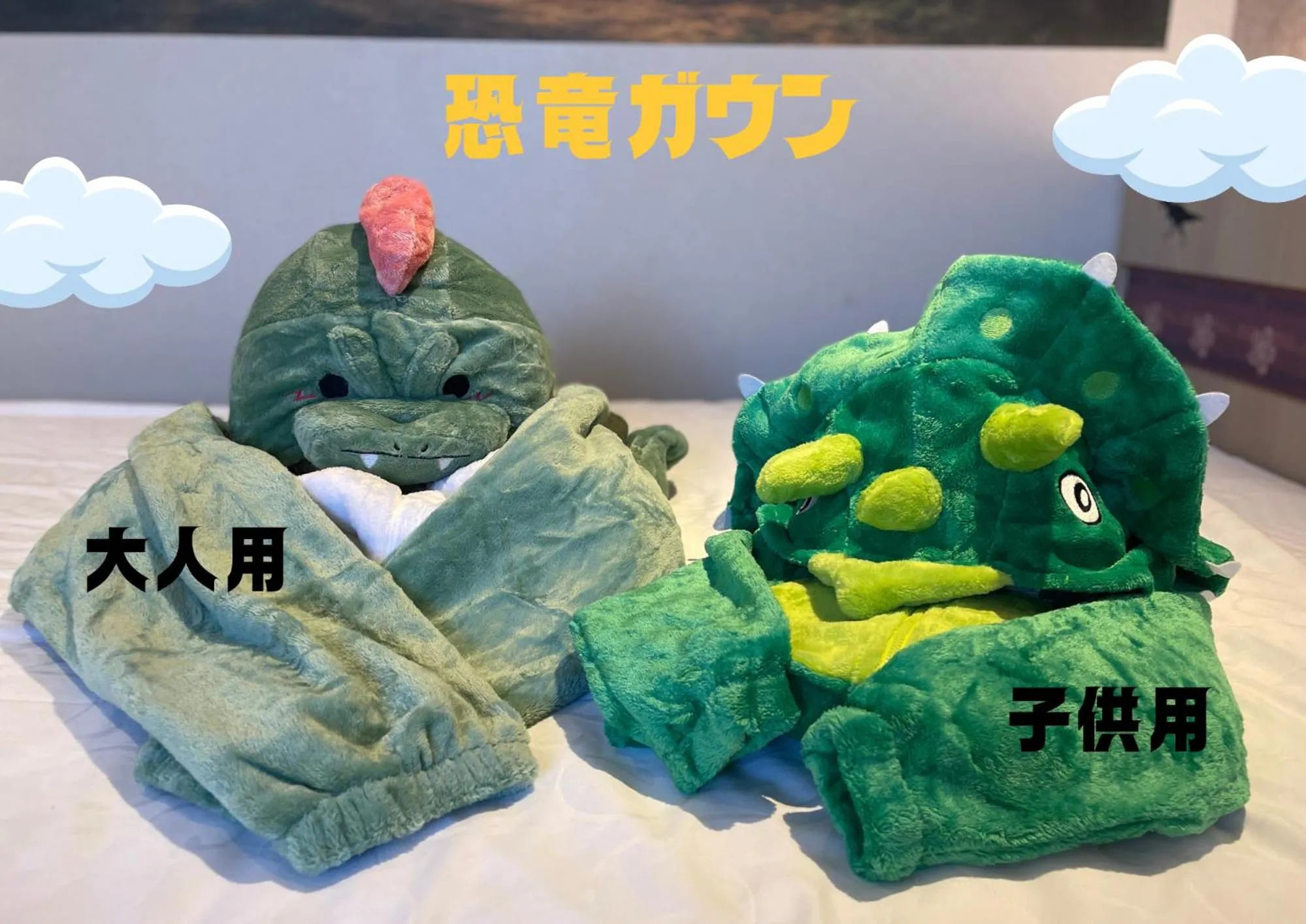 Photo of the whole room in Henn na Hotel Premier Nara