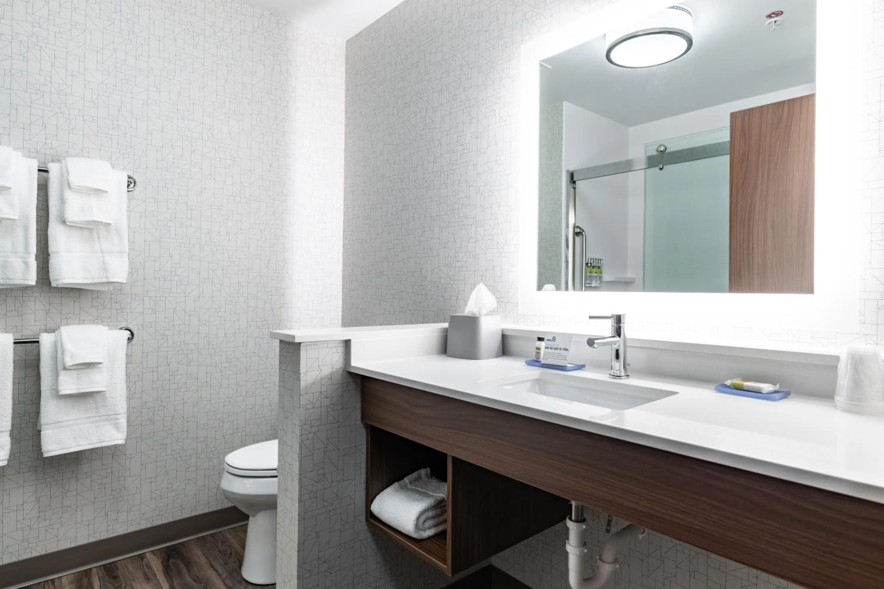 Bathroom in Holiday Inn Express & Suites - Moundsville by IHG
