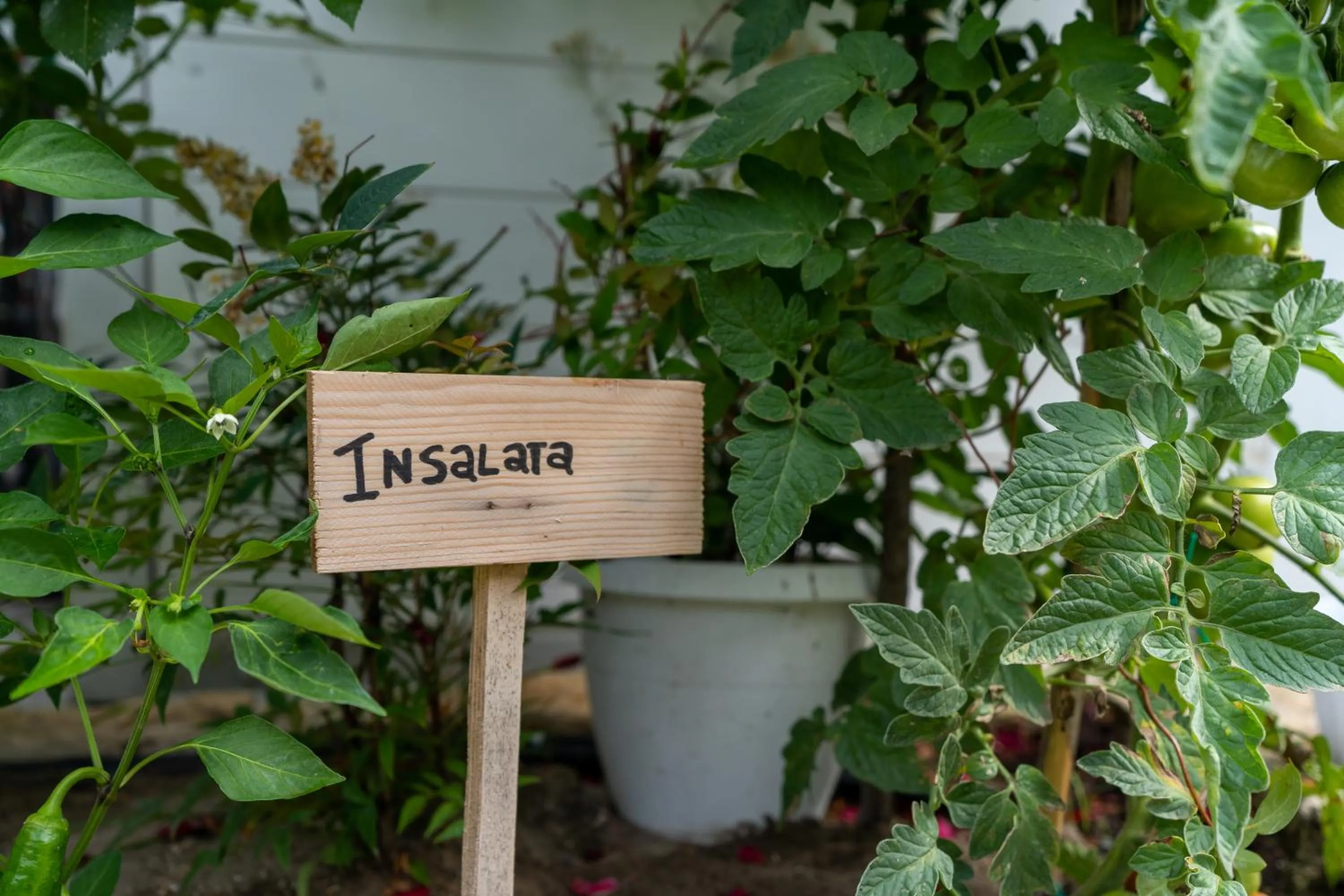 B&B Il Granaio Celeste