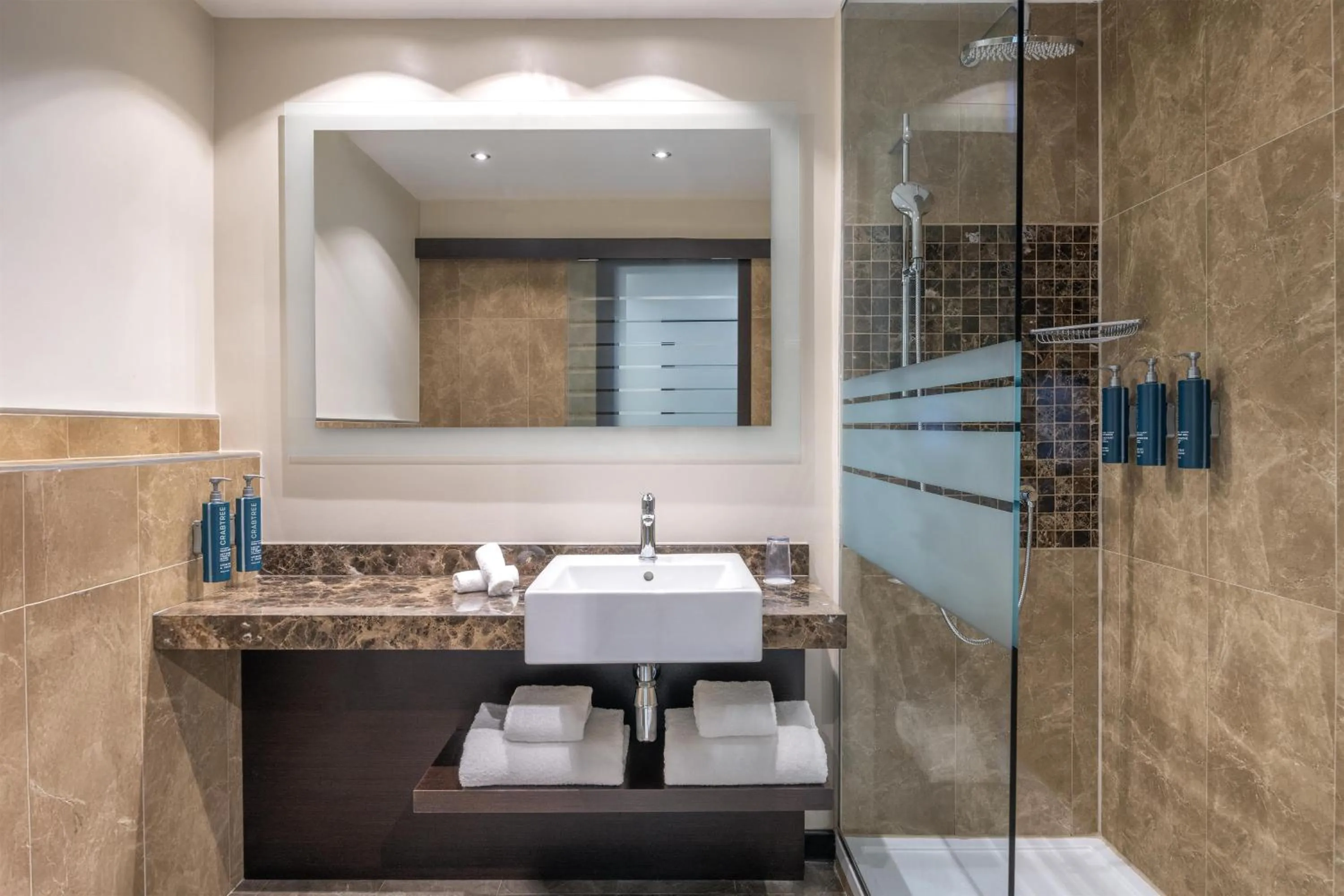 Bathroom in Hilton Geneva Hotel and Conference Centre