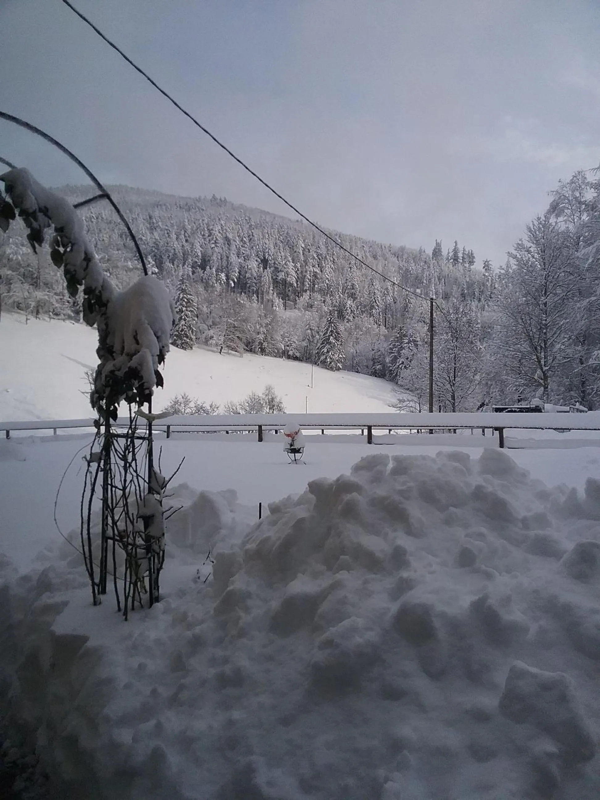 Winter in LA CLIMONTAINE