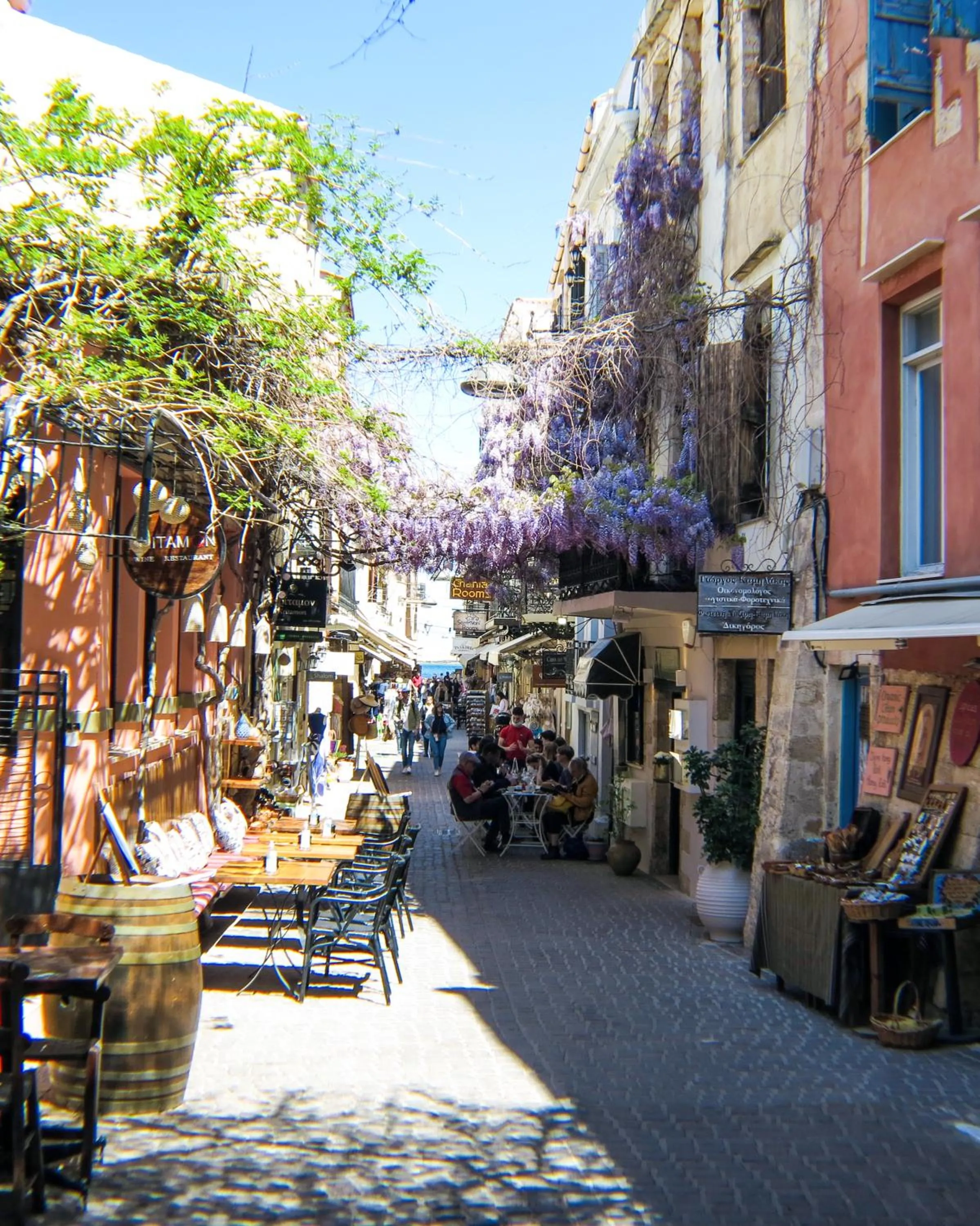 Neighbourhood in Casa Dasyra