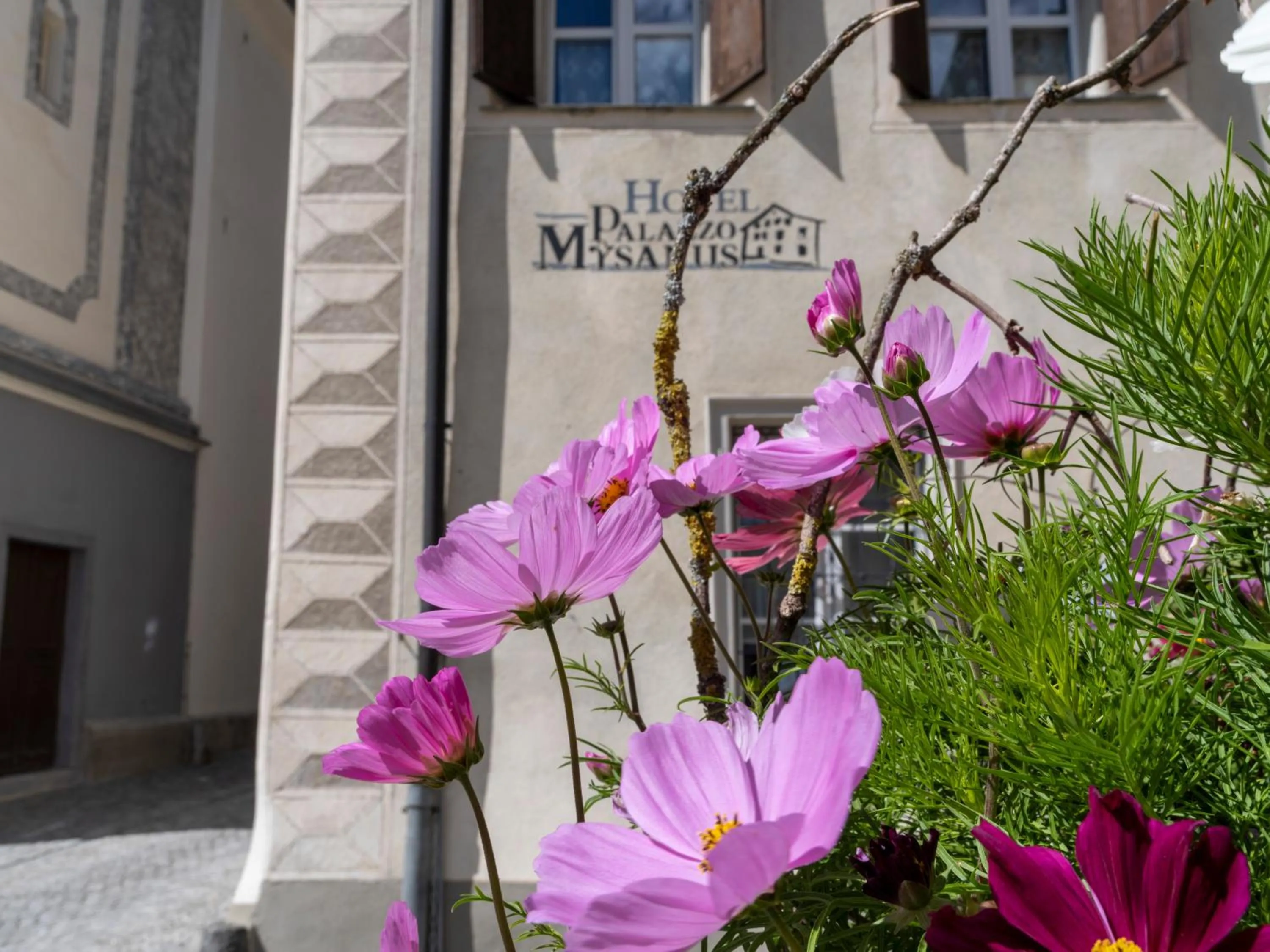 Property building in Palazzo Mysanus Samedan