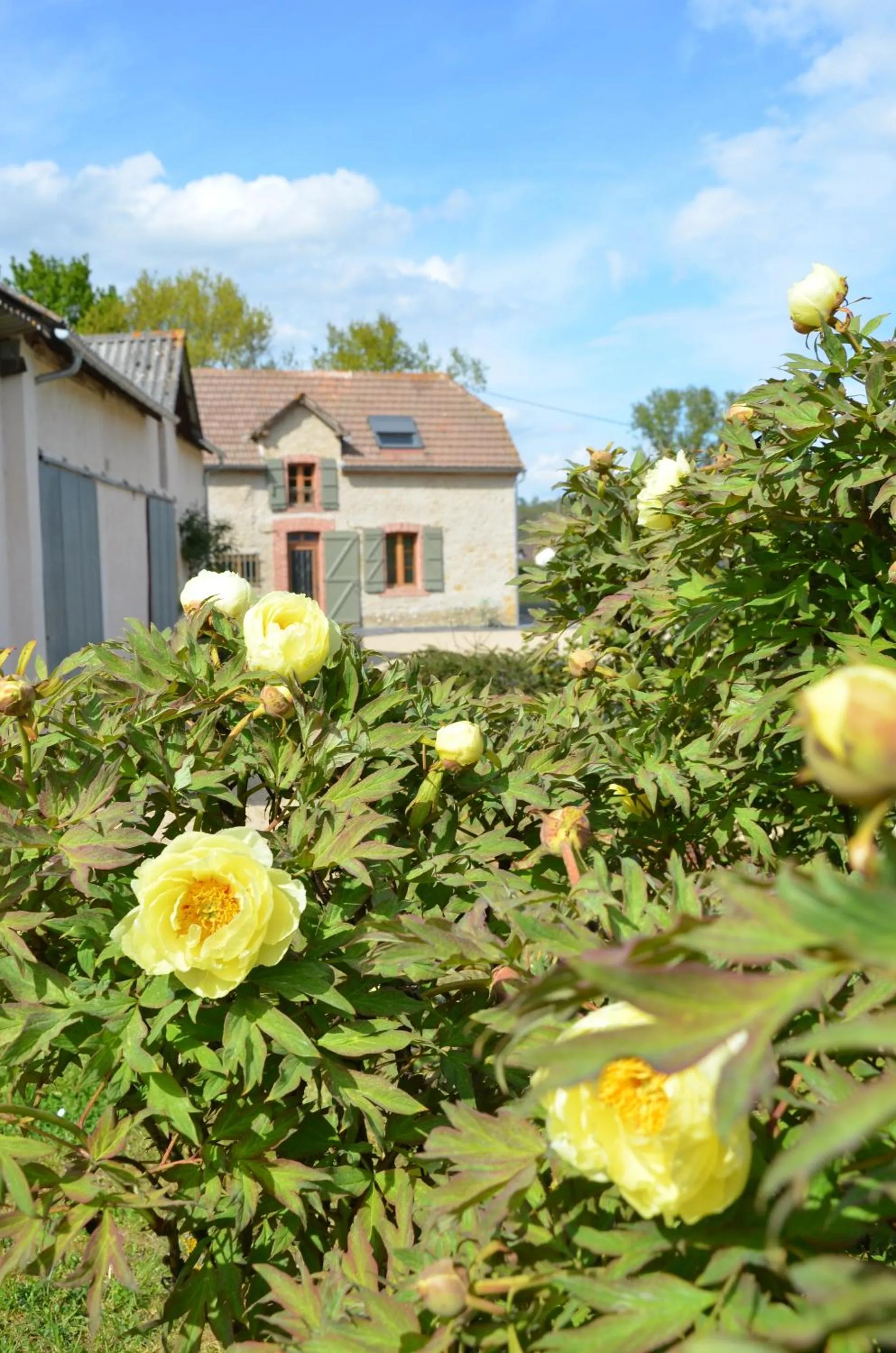 Garden in Ecogite Rural La Cle des Champs