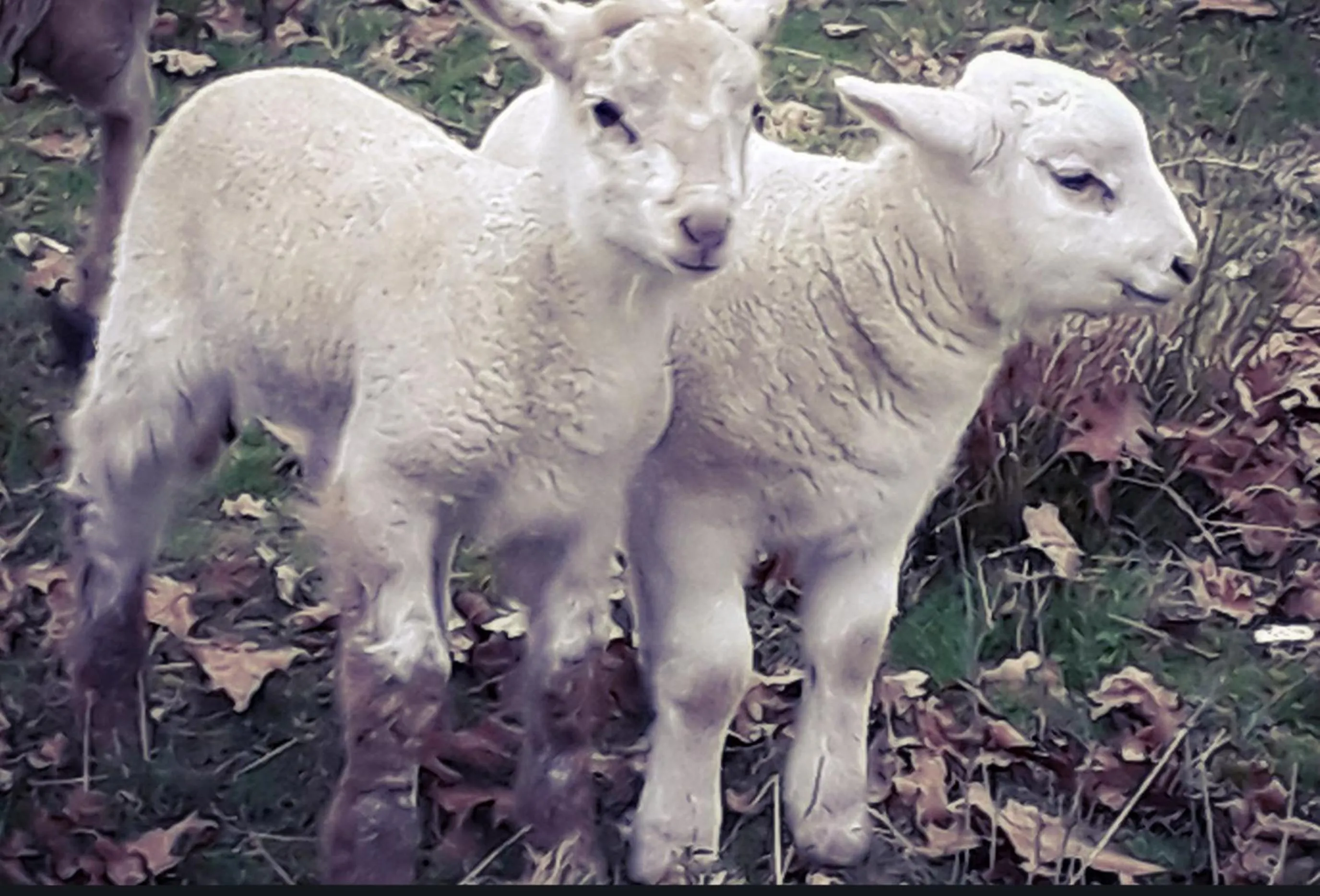 Natural landscape in Ecogite Rural La Cle des Champs