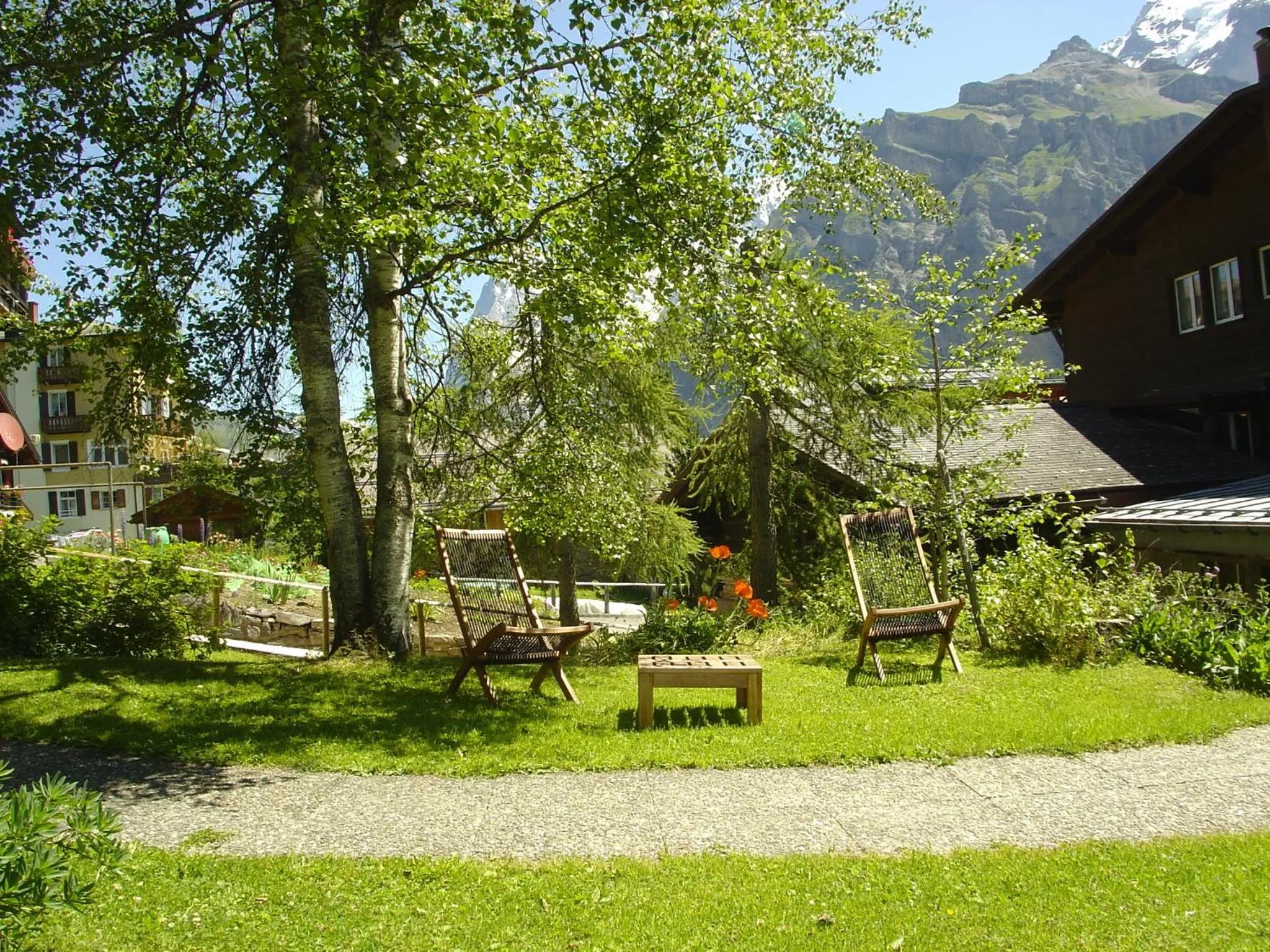 Garden in Hotel Blumental