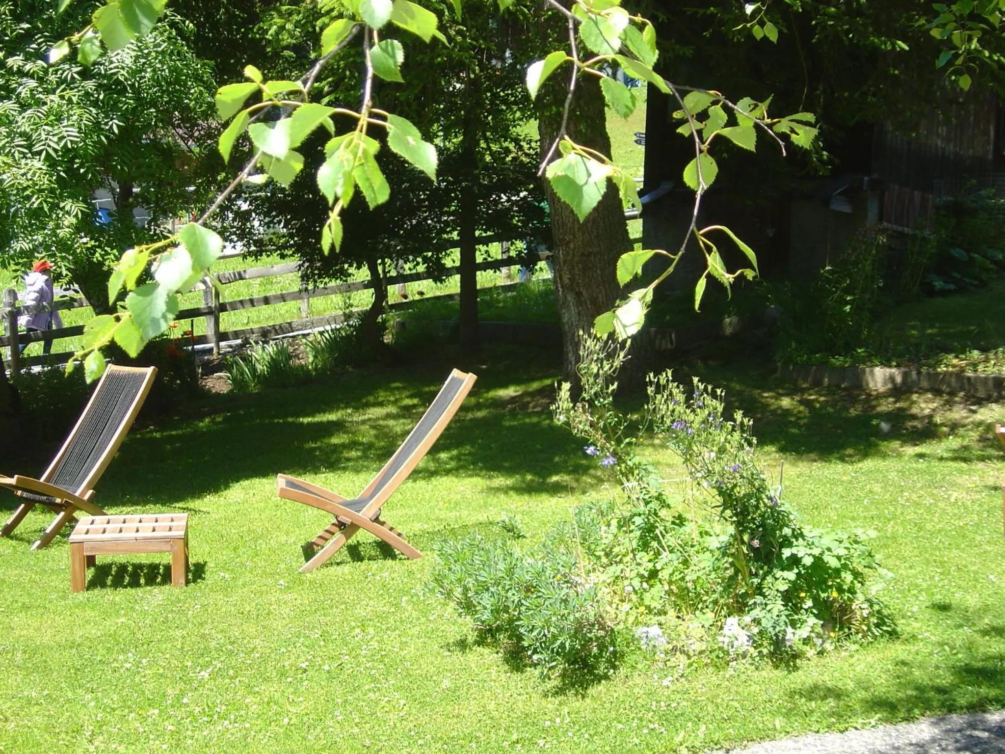 Garden in Hotel Blumental