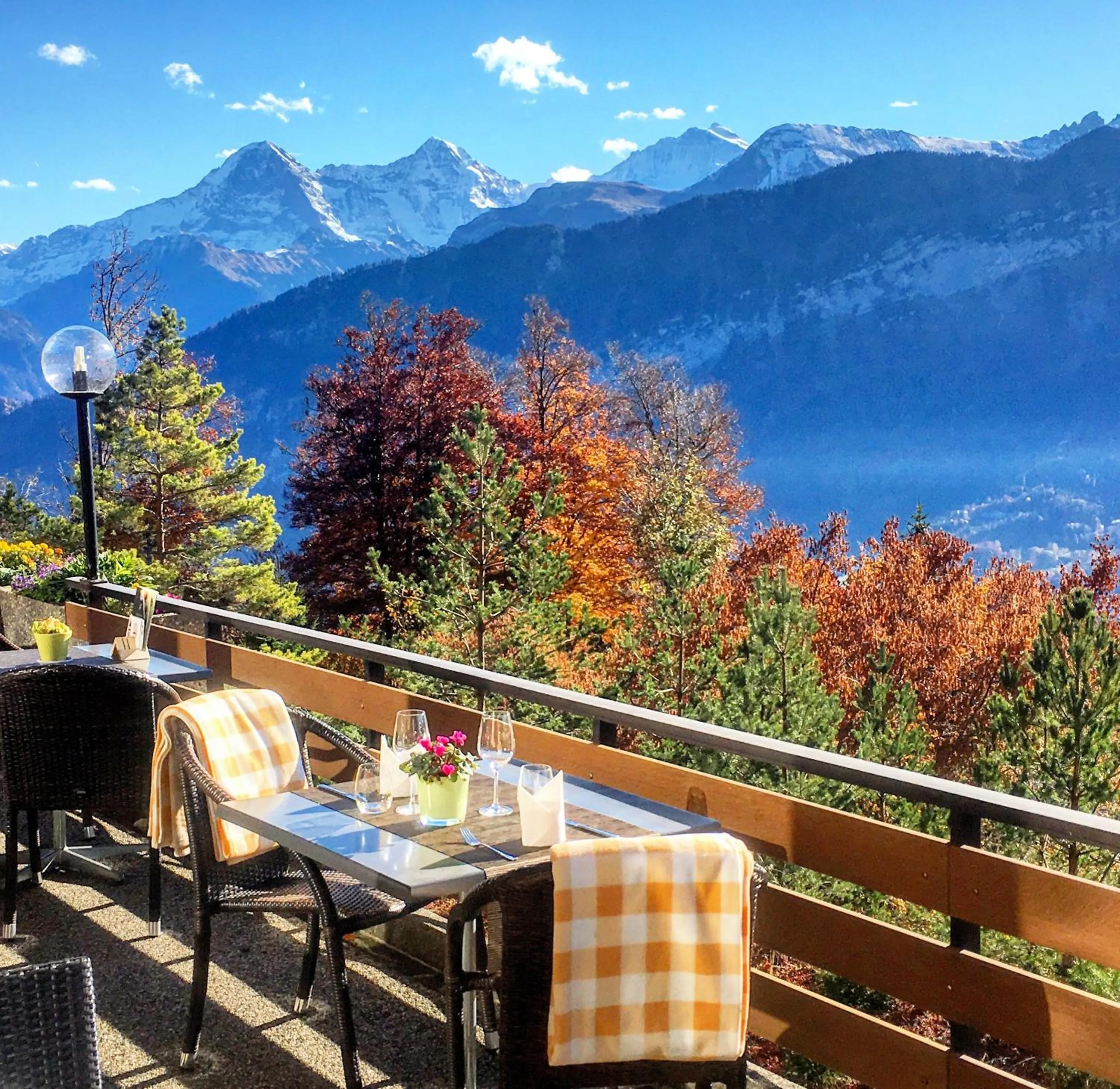 Patio in Hotel Gloria