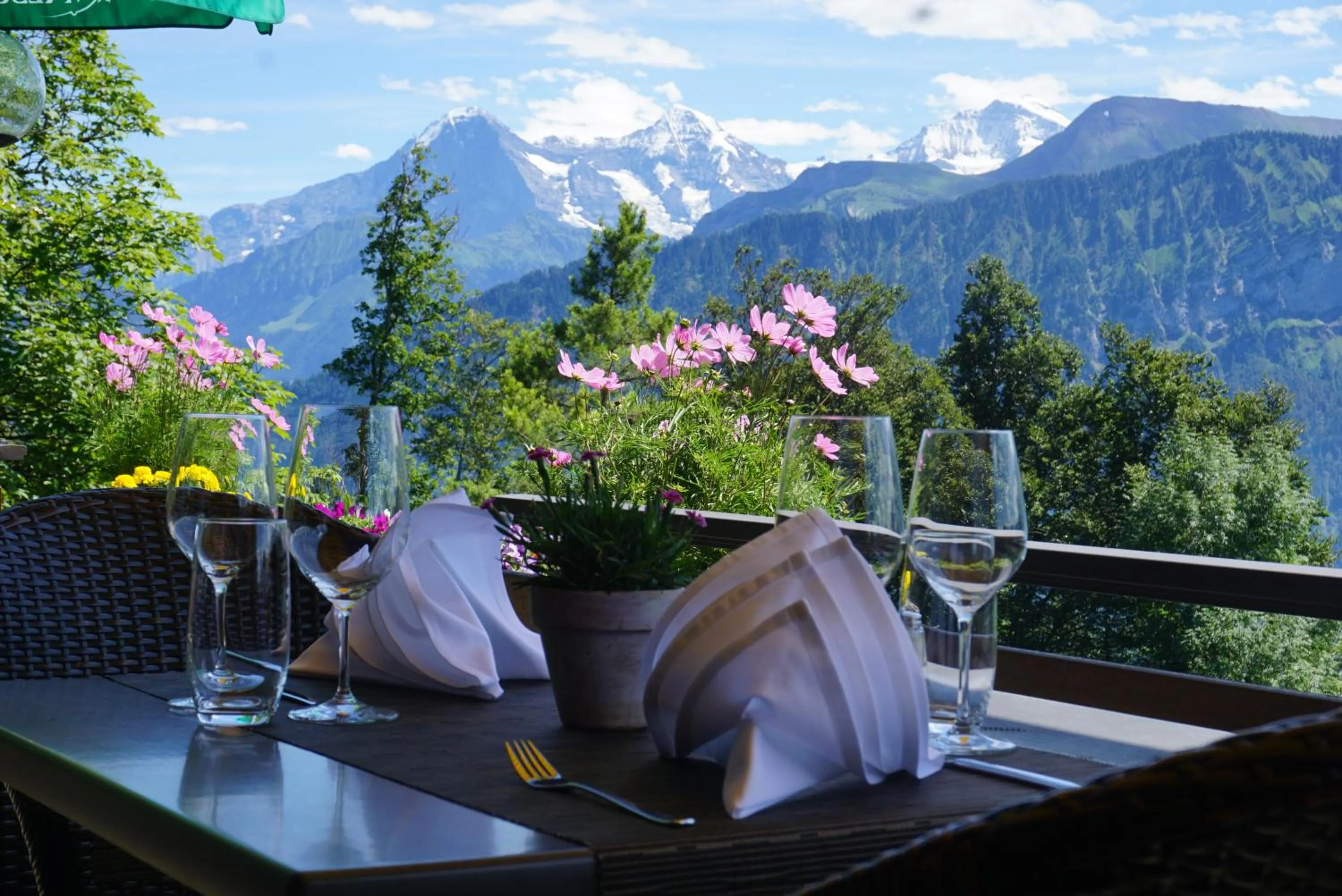 Restaurant/places to eat in Hotel Gloria