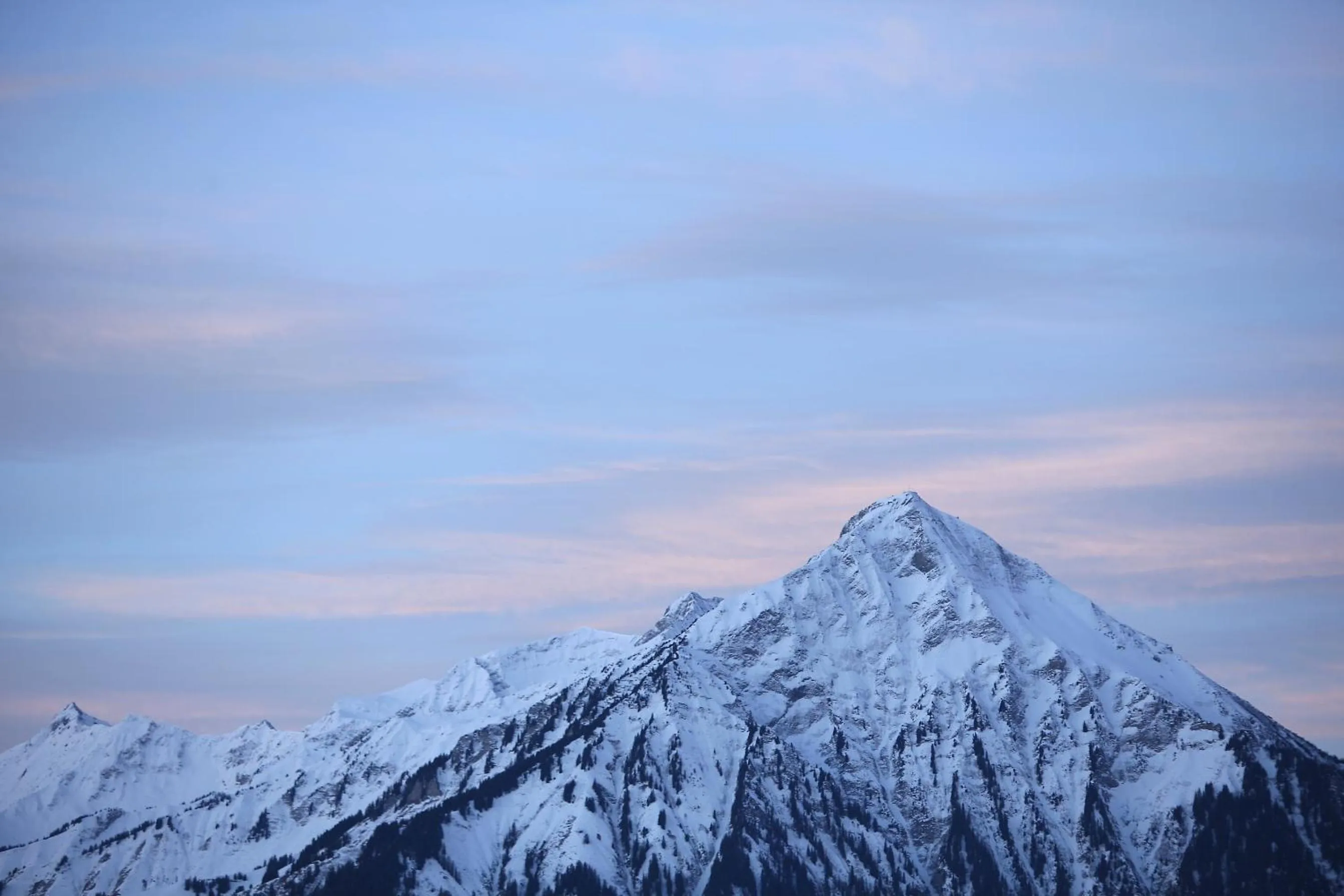 Area and facilities in Hotel Gloria