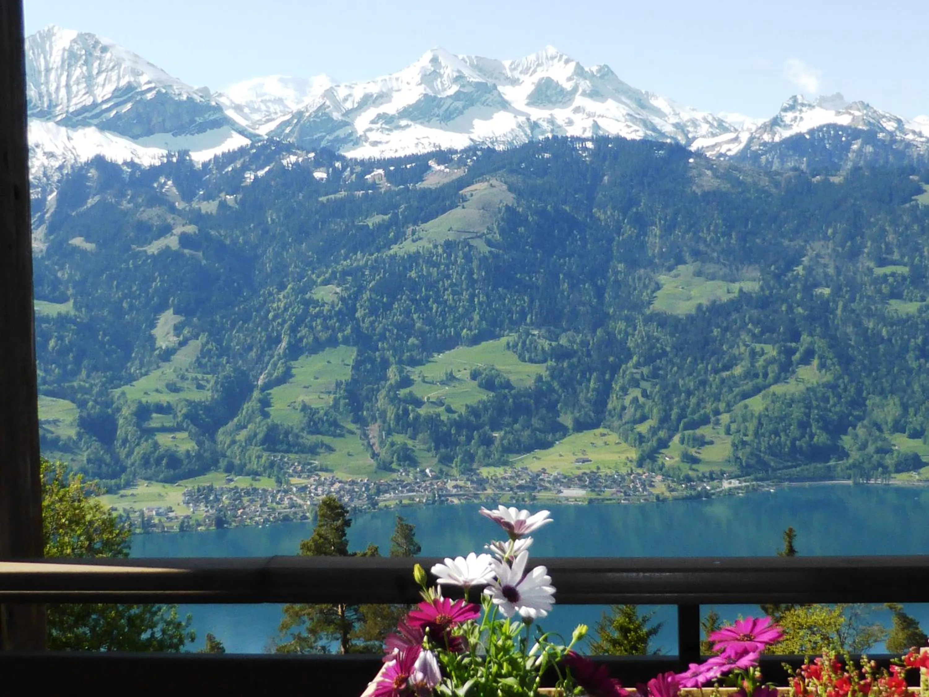 View (from property/room) in Hotel Gloria