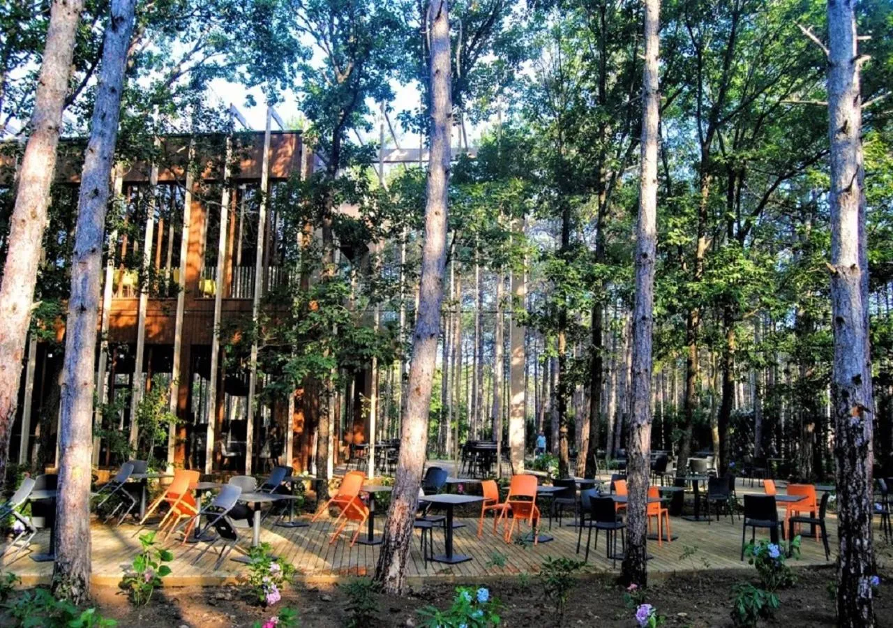 Garden in LONGOSPHERE GLAMPING