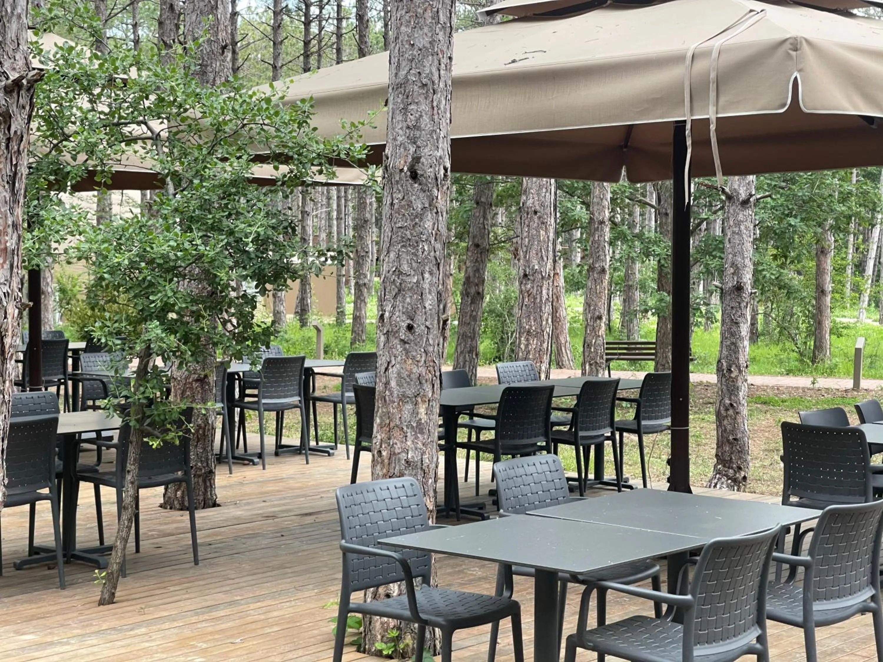 Restaurant/places to eat in LONGOSPHERE GLAMPING