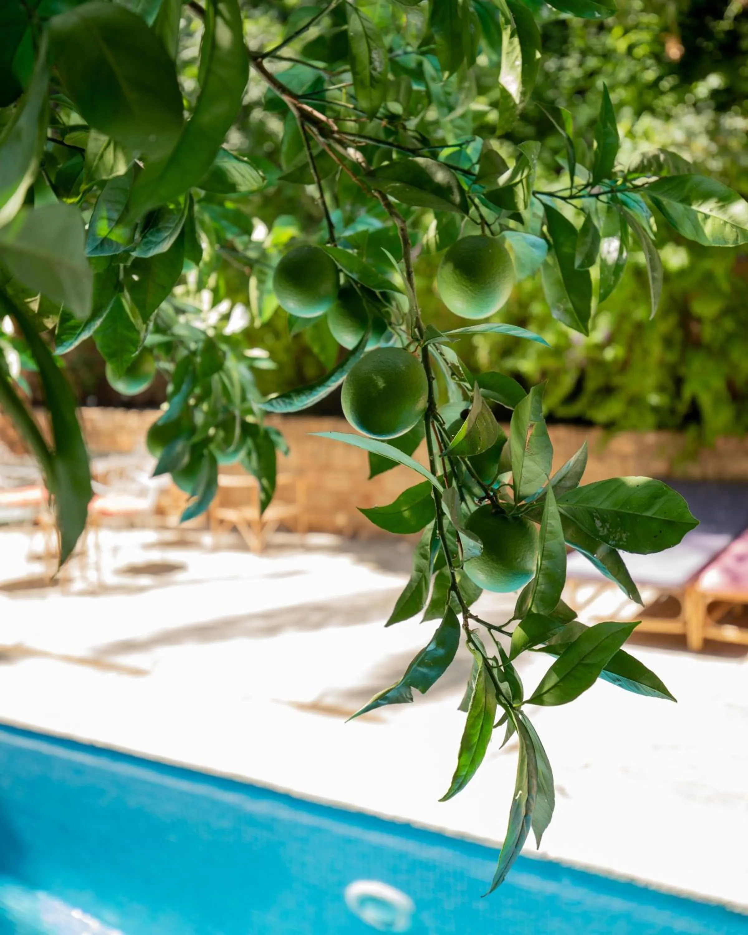 Property building in Arthaus Beirut