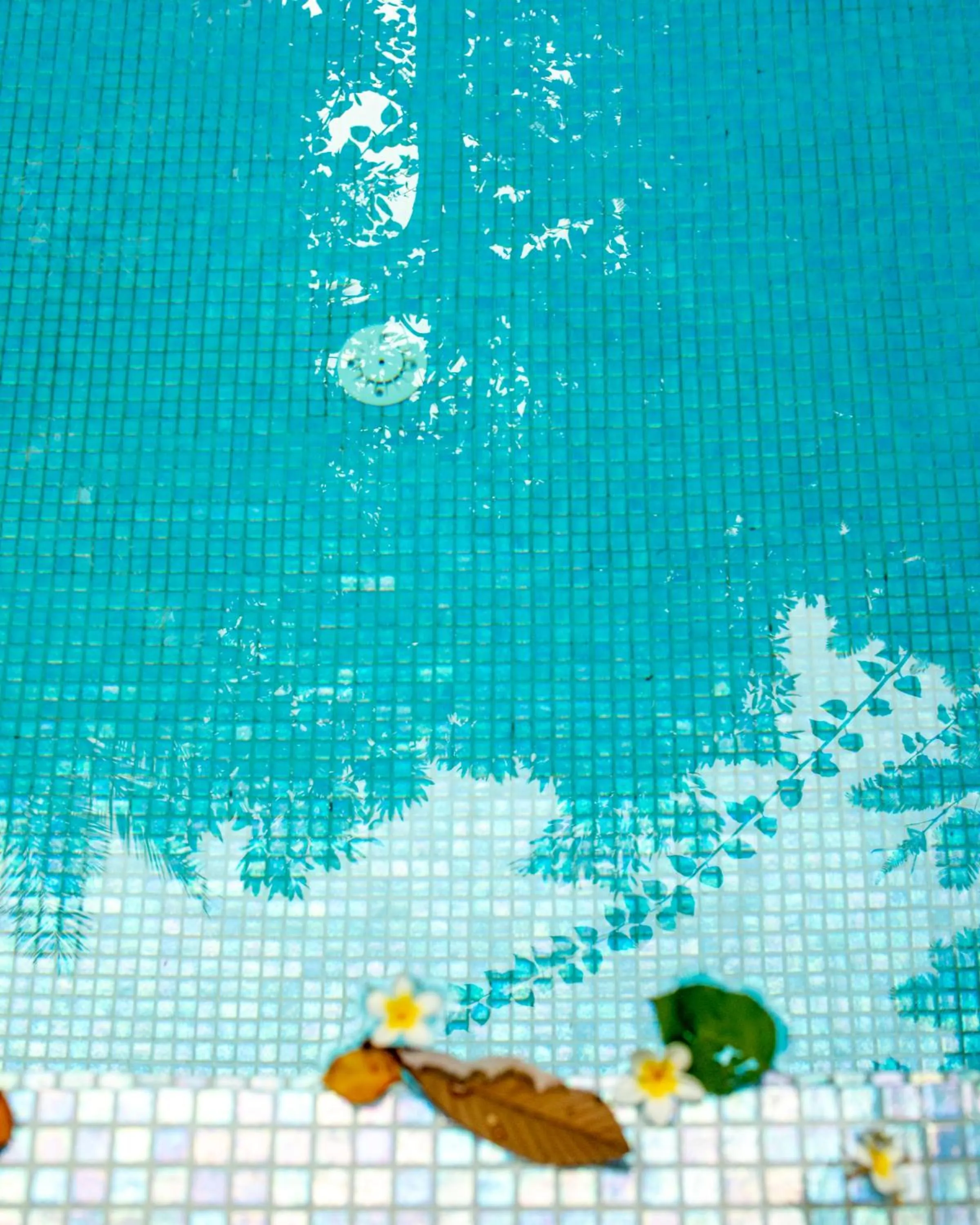 Swimming pool in Arthaus Beirut