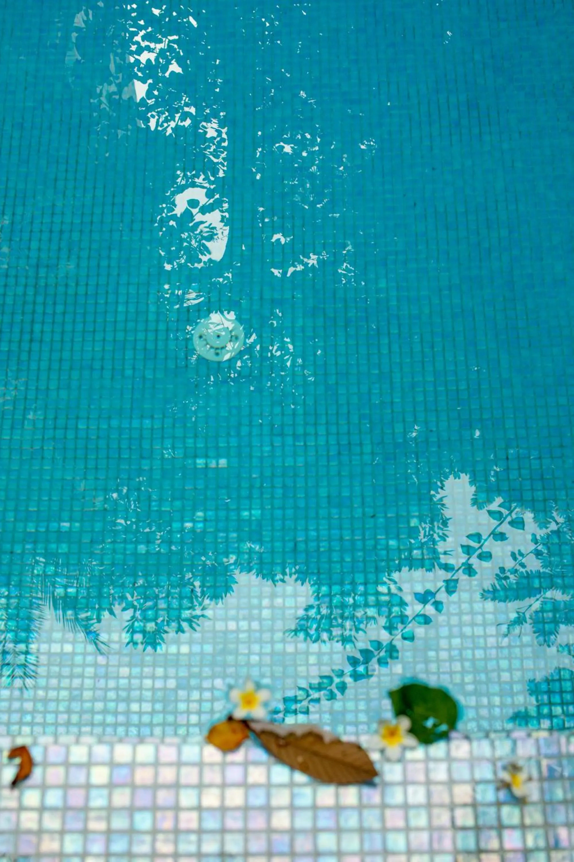 Pool view in Arthaus Beirut