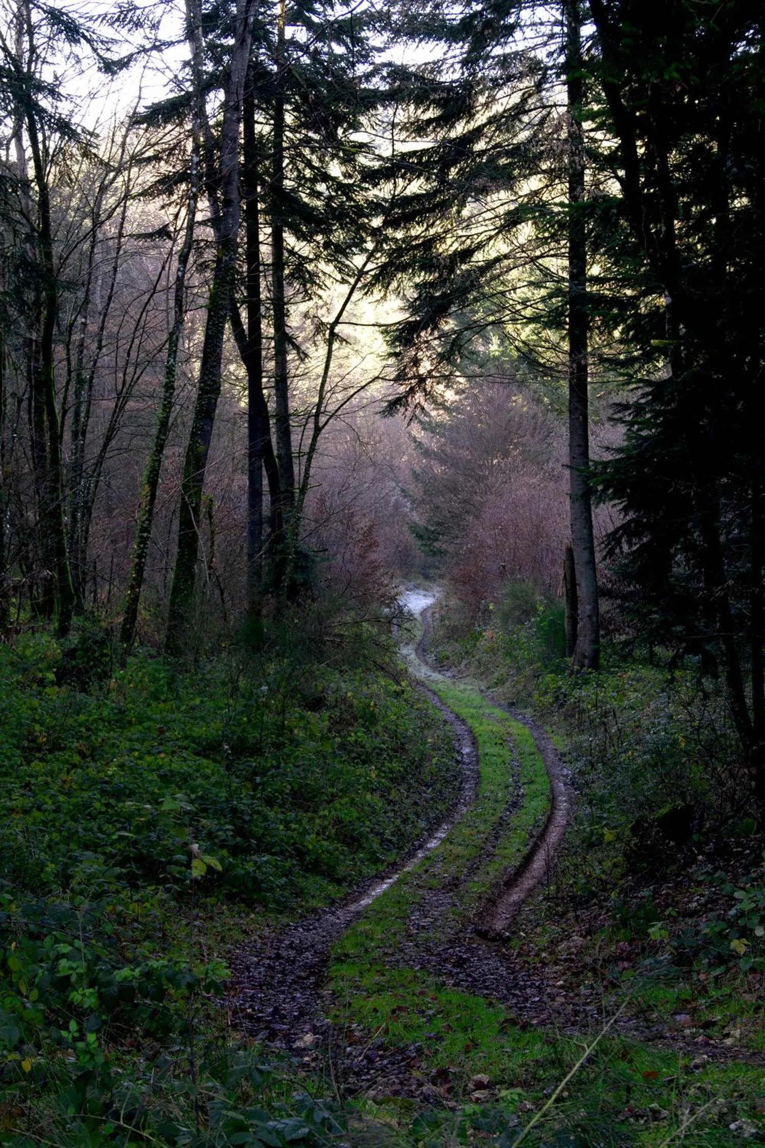 Hiking in Le clos des artistes - Chambres d'hôtes
