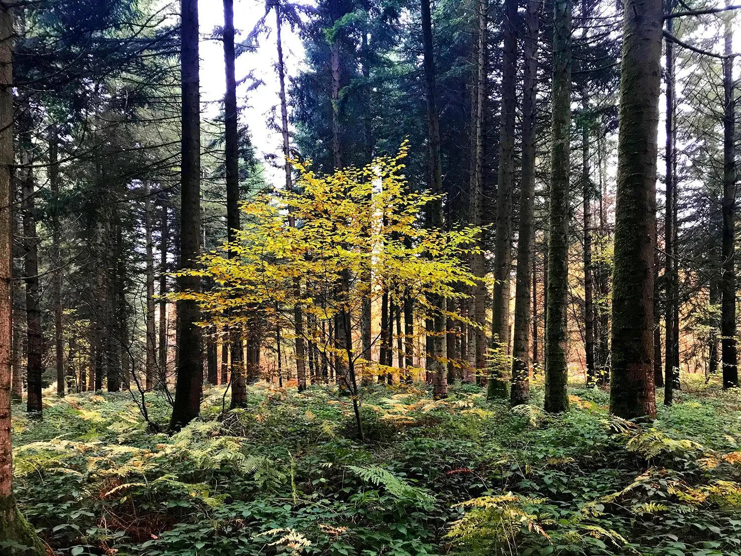Hiking in Le clos des artistes - Chambres d'hôtes