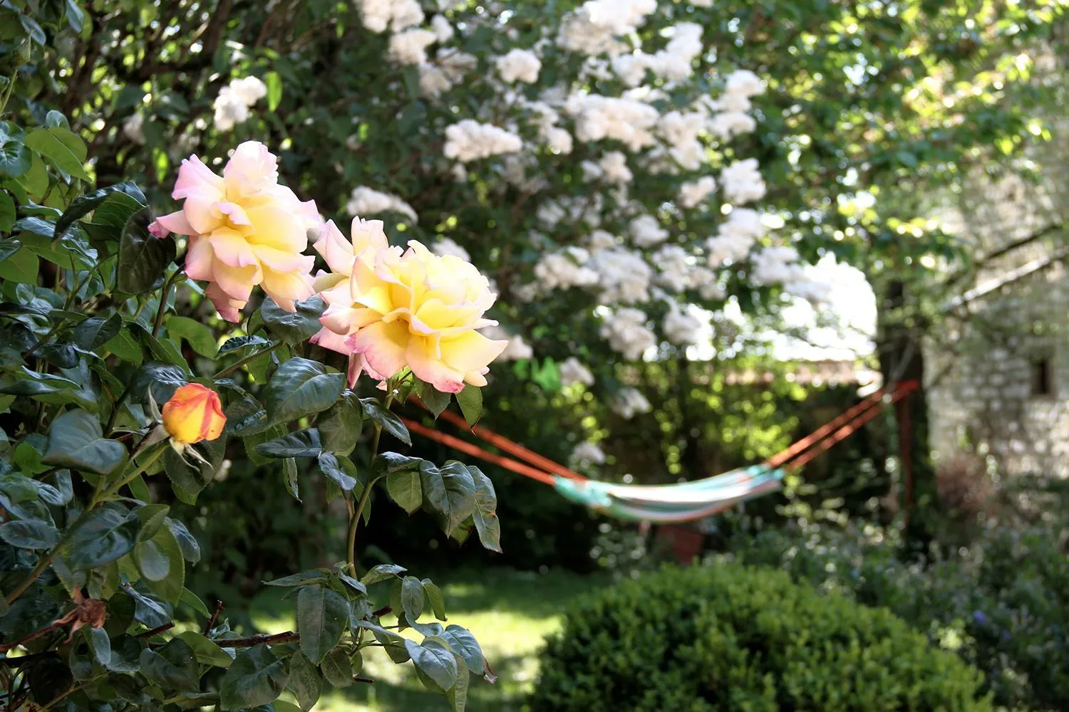 Garden in Le clos des artistes - Chambres d'hôtes