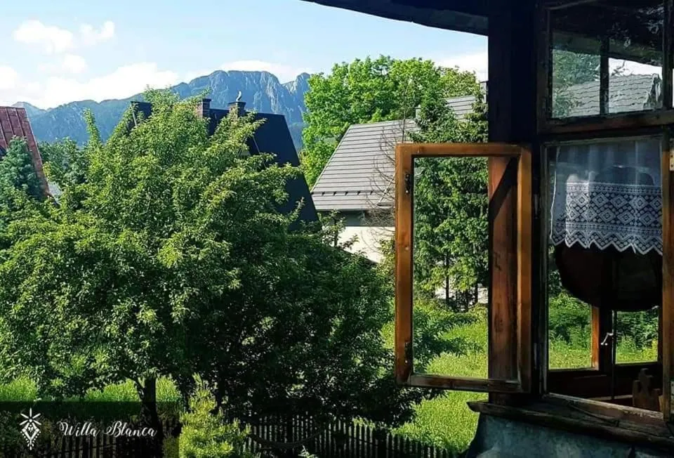 Garden view in Willa Blanca Zakopane