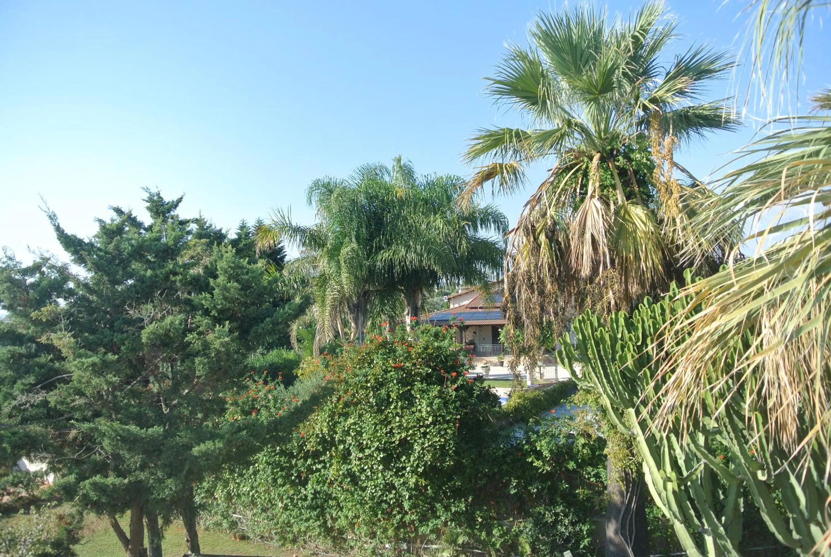 Garden view in Villa Carlotta Resort