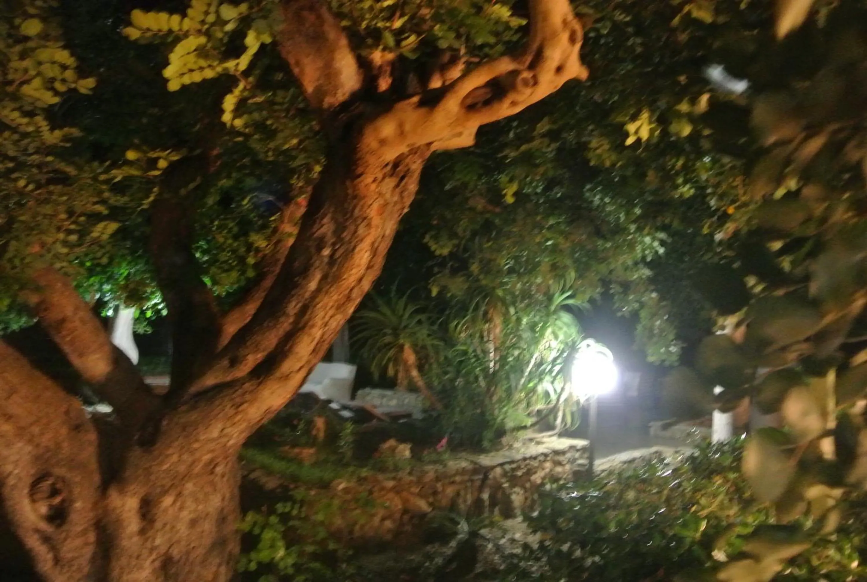 Night in Villa Carlotta Resort