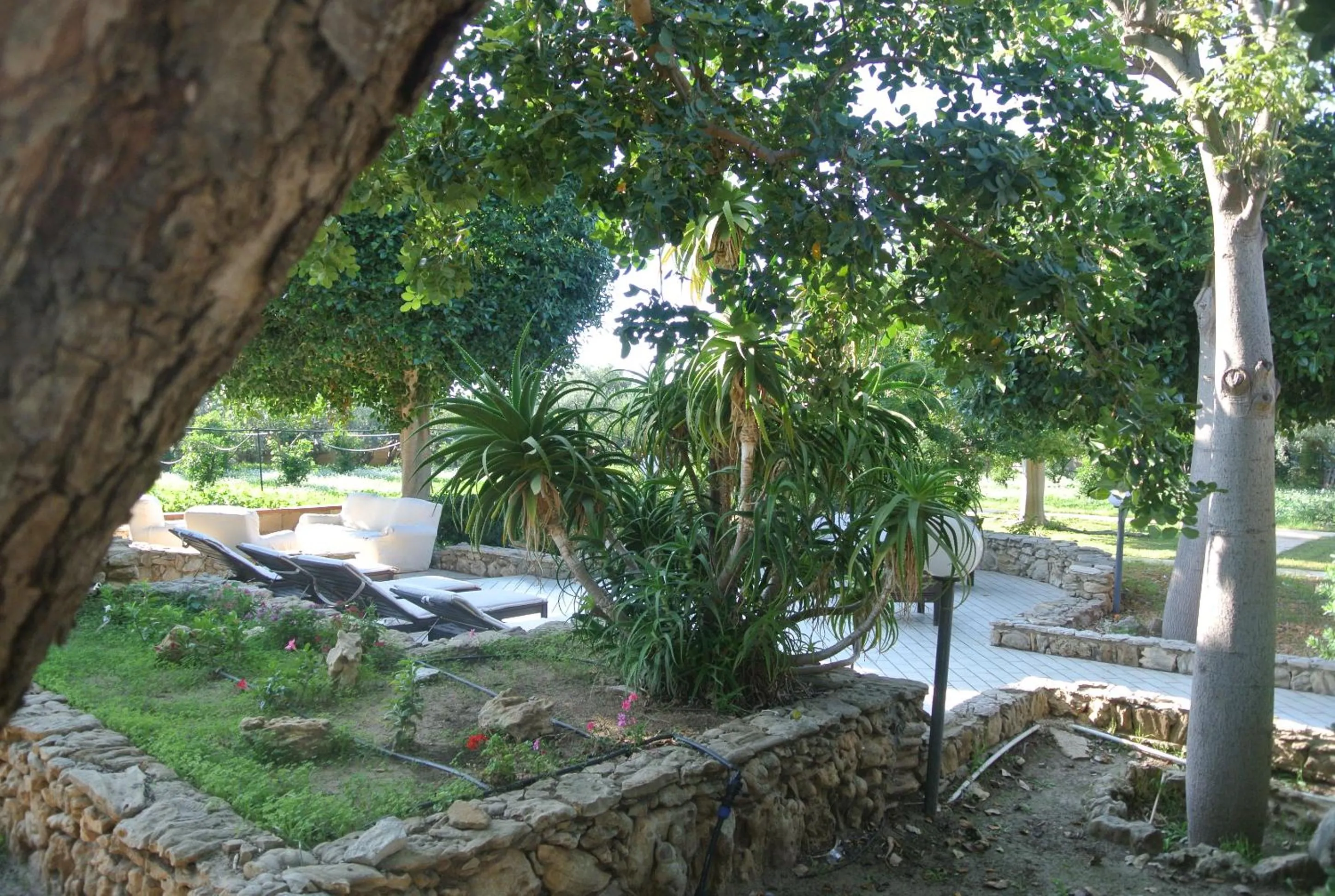 Garden view in Villa Carlotta Resort