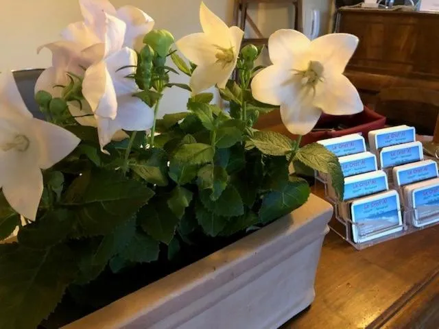 Decorative detail in Le Crist'Al, hôtel climatisé, front de mer, proche du centre ville, et solution de restauration