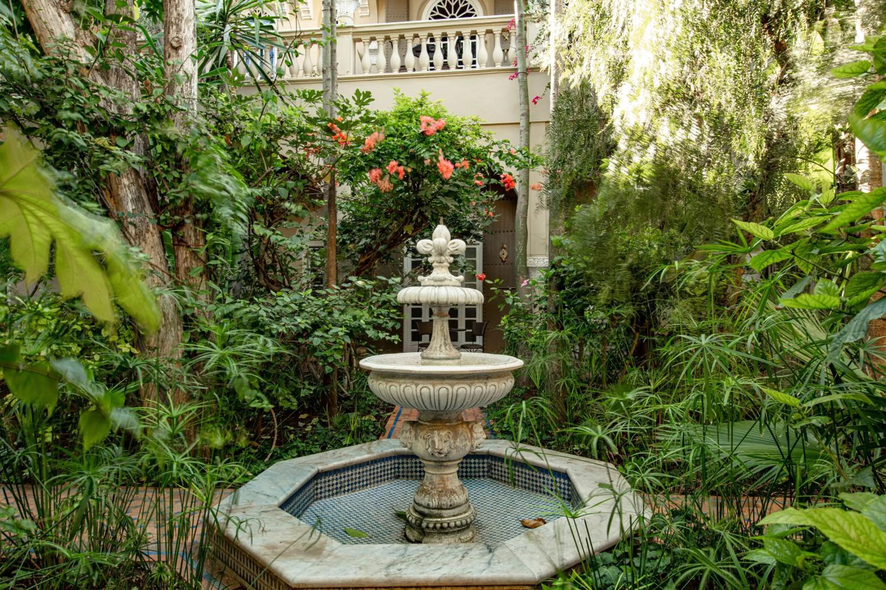 Garden in Riad Dar El Malaika