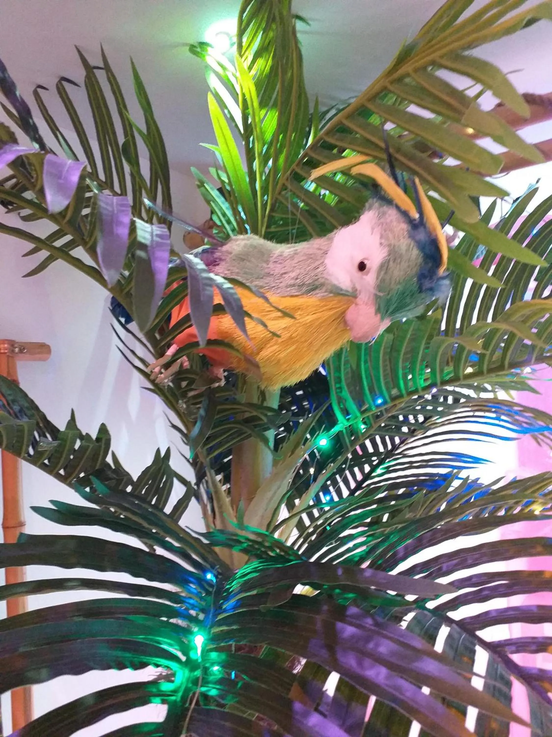 Bedroom in Wonder Paradisio Studio Nerja