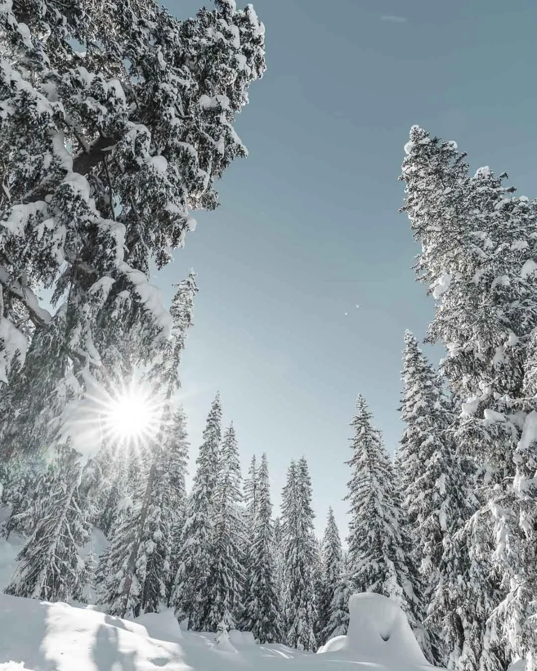 Winter in Hotel Alpensonne - Panoramazimmer & Restaurant