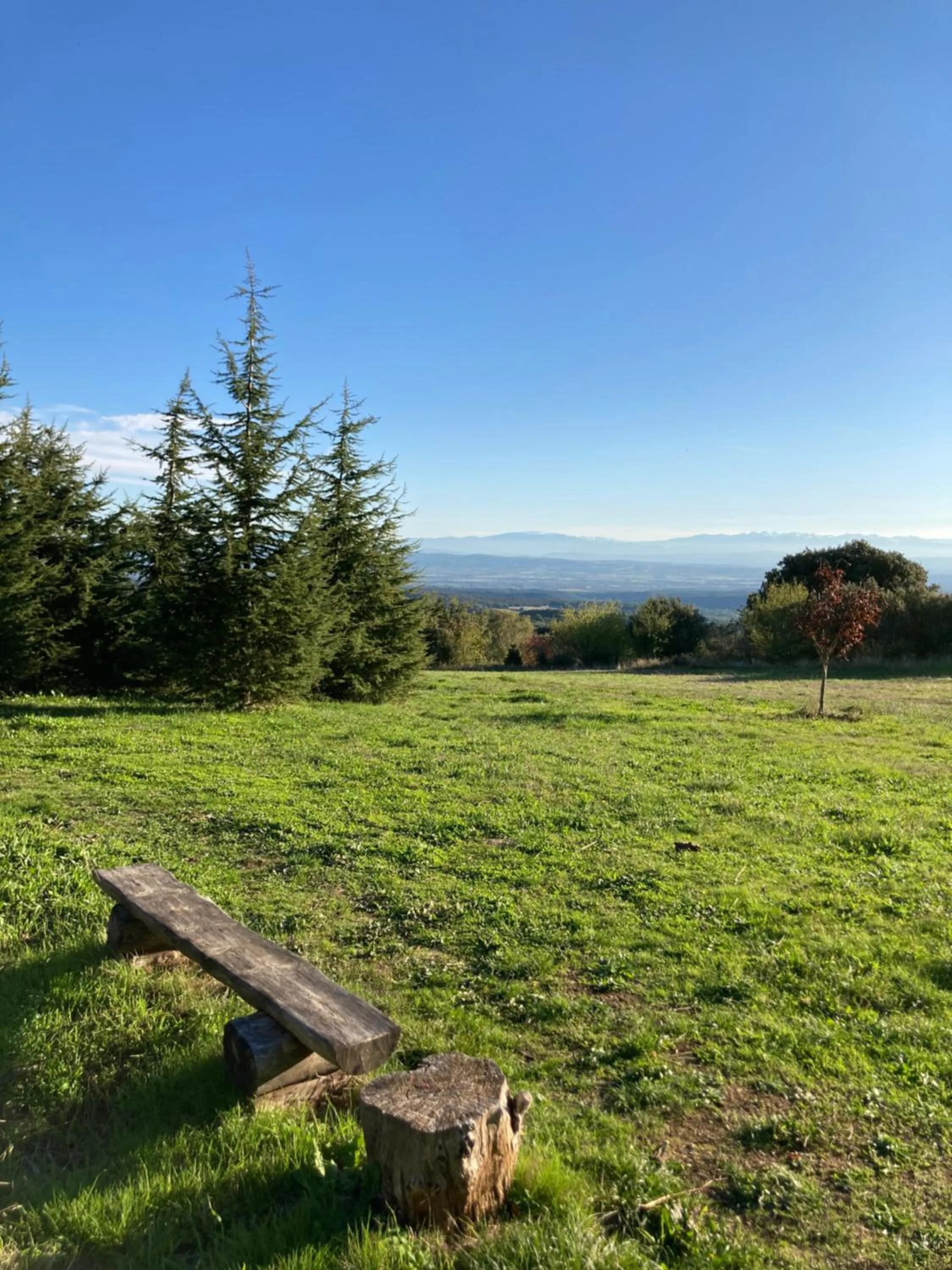 Garden in Domaine de Campras B&B
