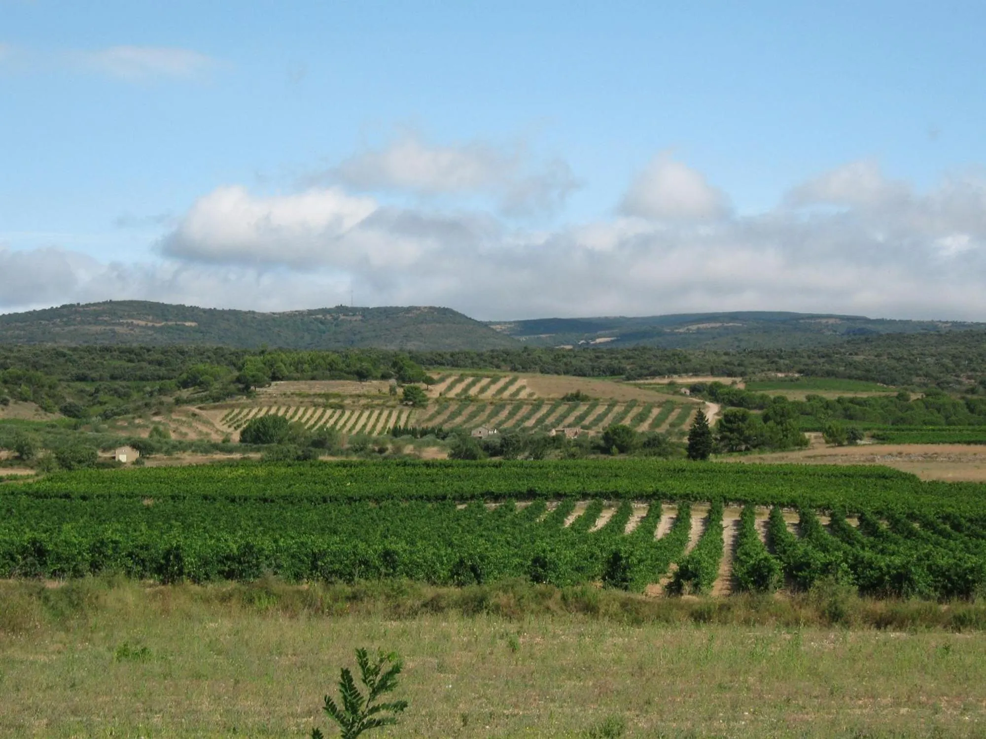 Natural landscape in Domaine de Campras B&B