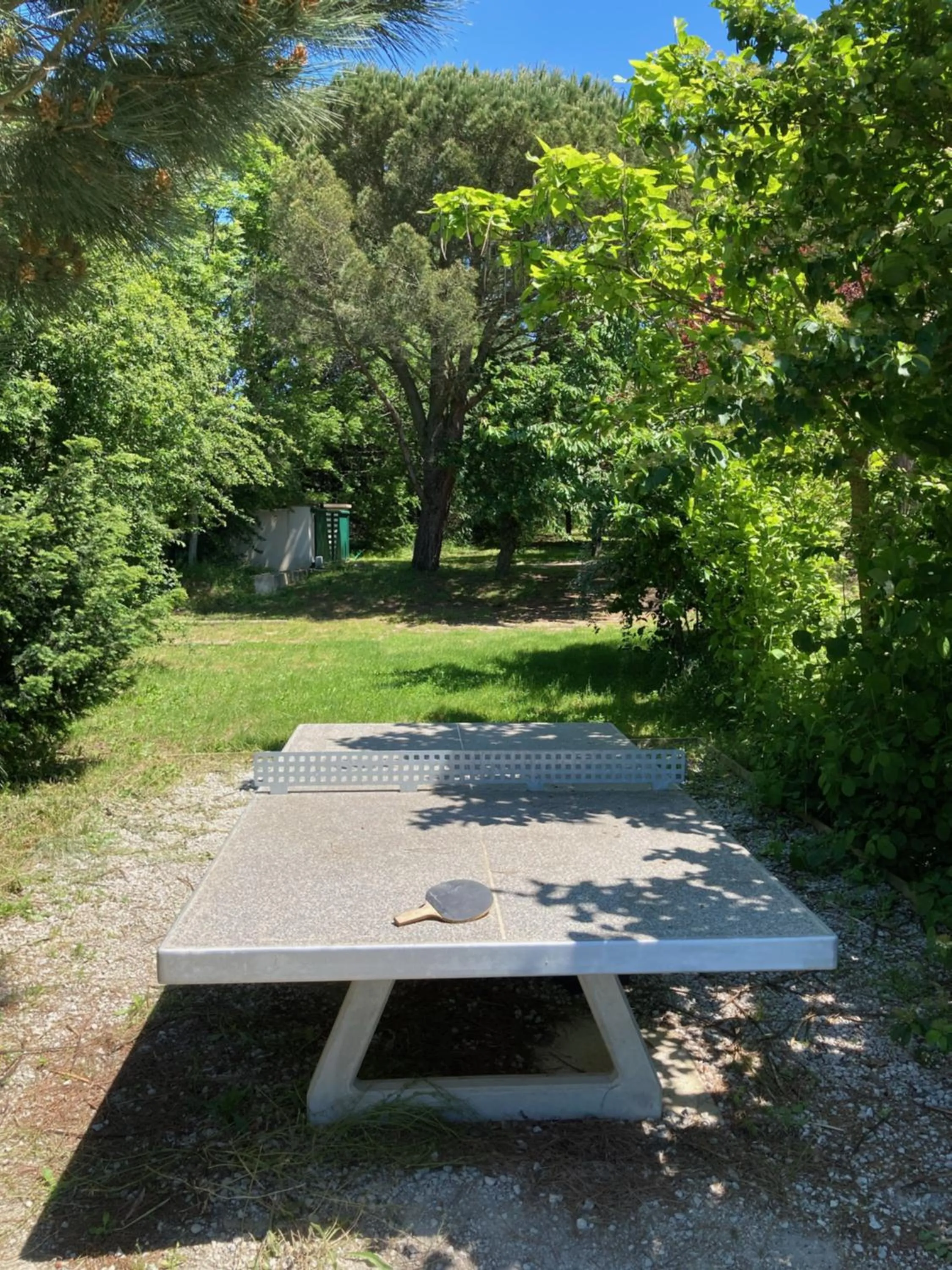 Garden in Domaine de Campras B&B