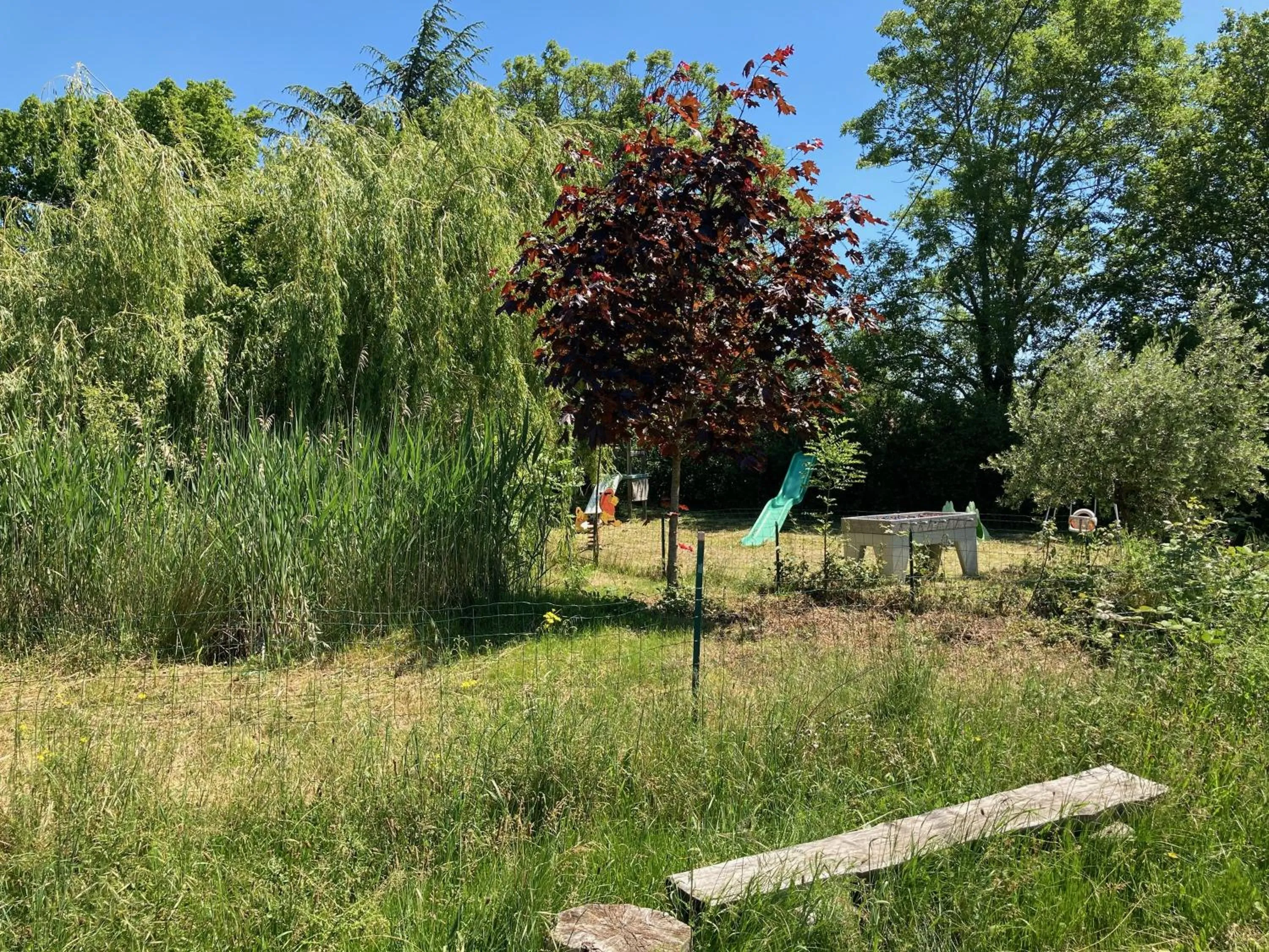Natural landscape in Domaine de Campras B&B