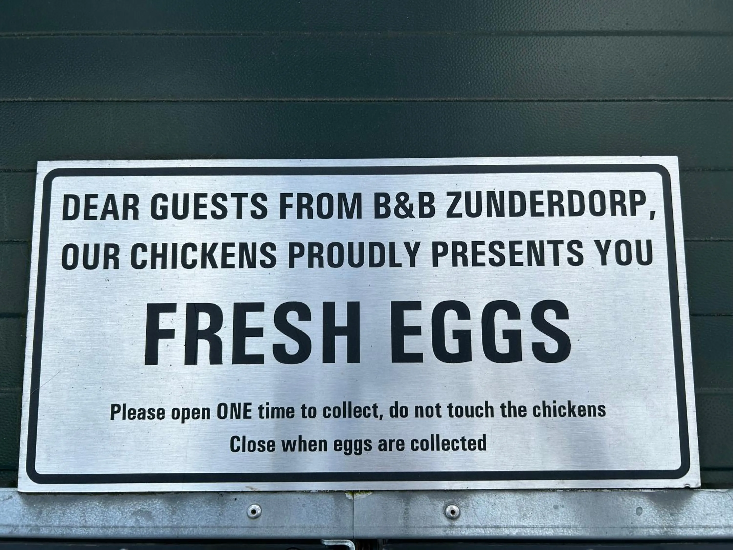 Animals in B&B Zunderdorp